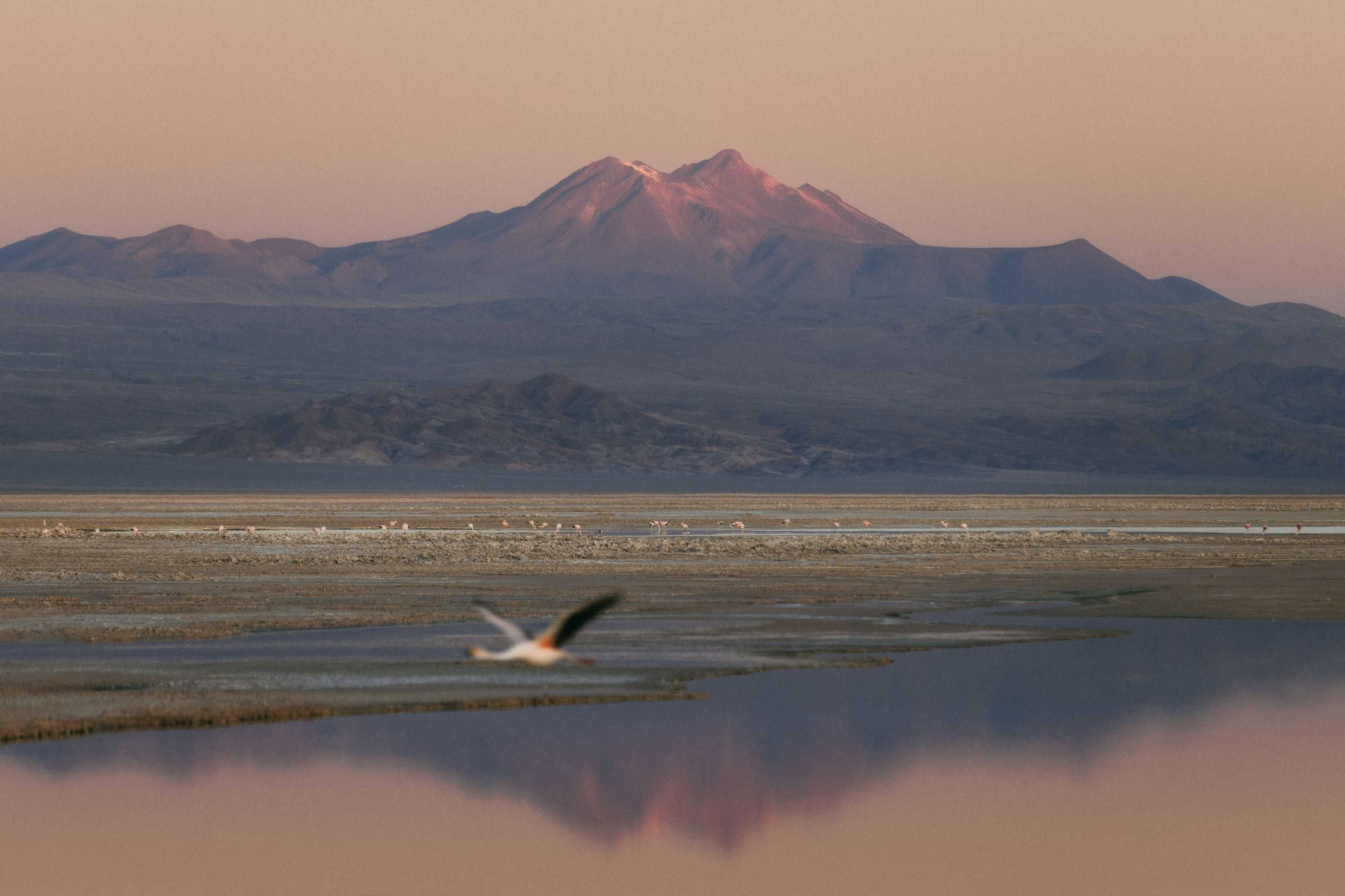 Gift card for Our Habitas Atacama Gift card for Our Habitas Atacama