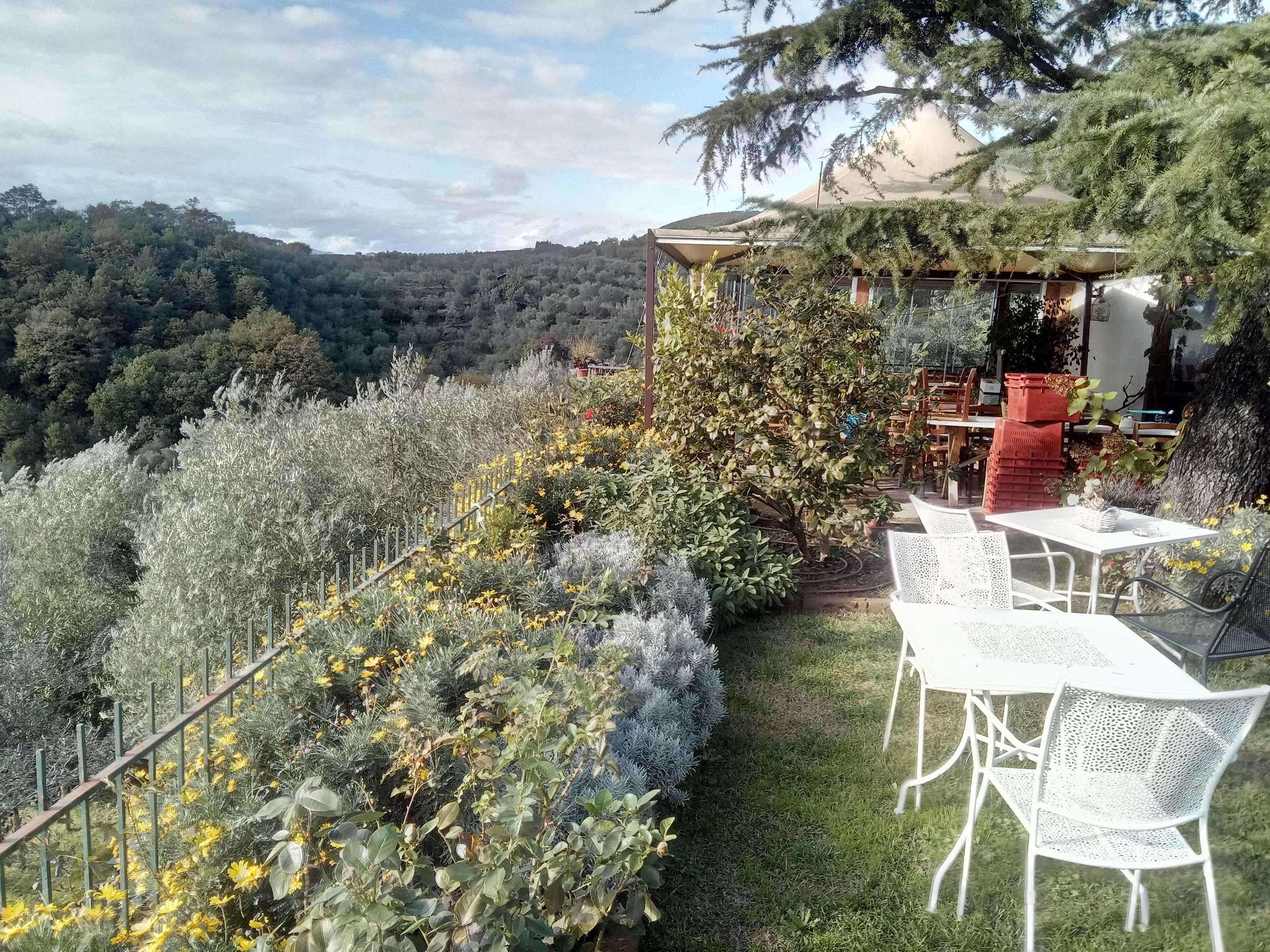 Gift card for Agriturismo Campofiorito Gift card for Agriturismo Campofiorito