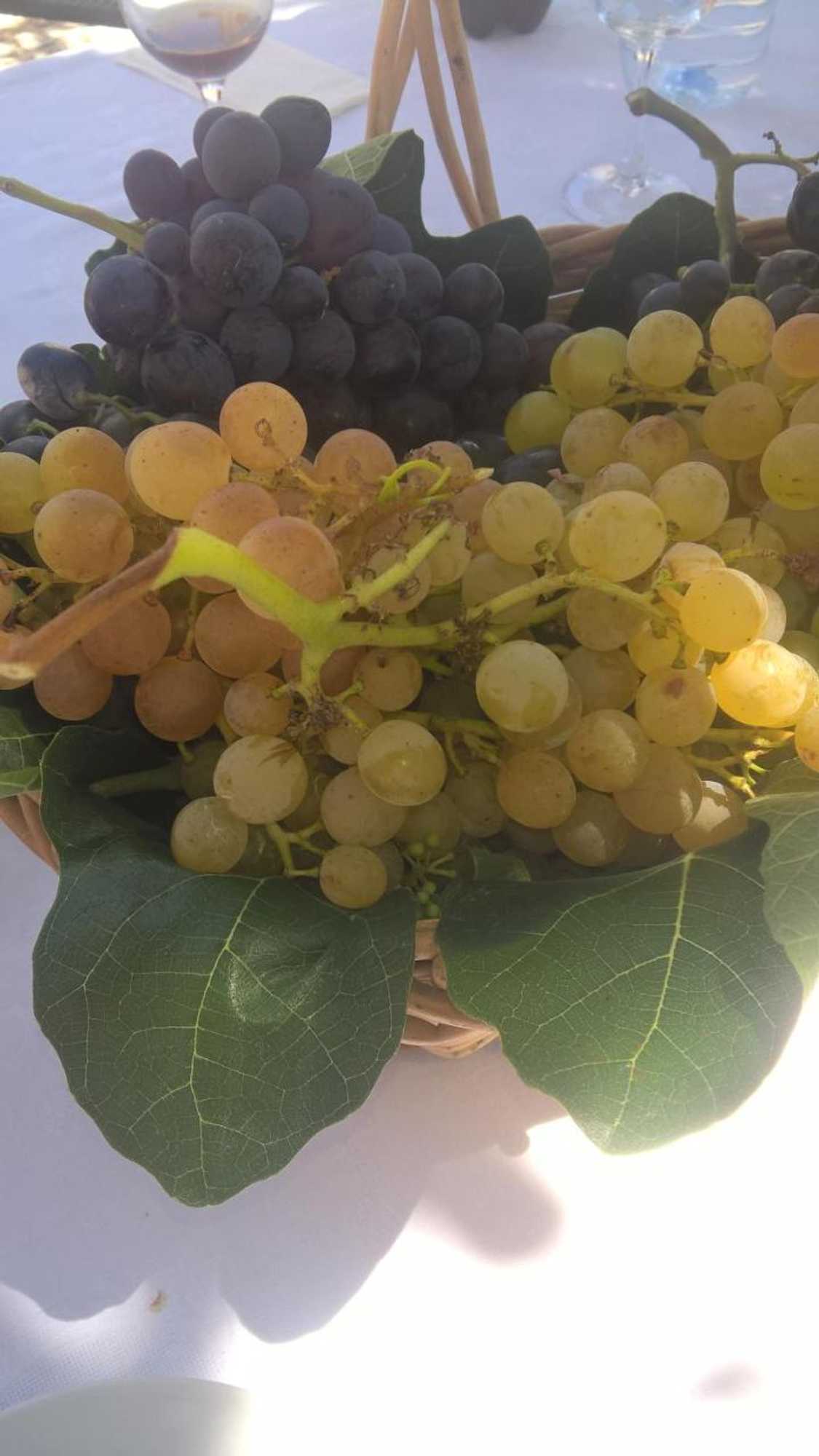 Gift card for Alto Belo