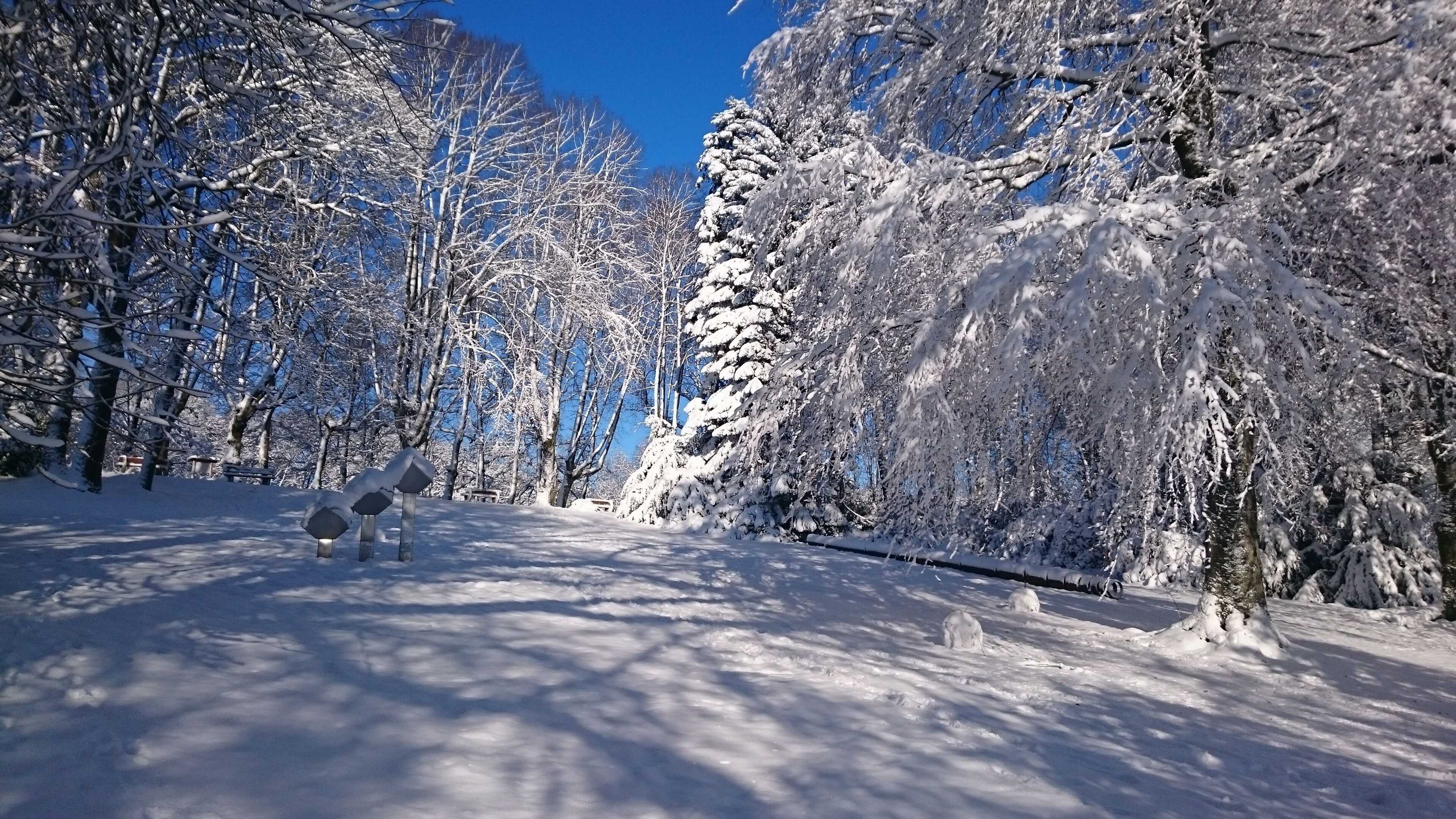 Gift card for Mercure Hotel Luedenscheid