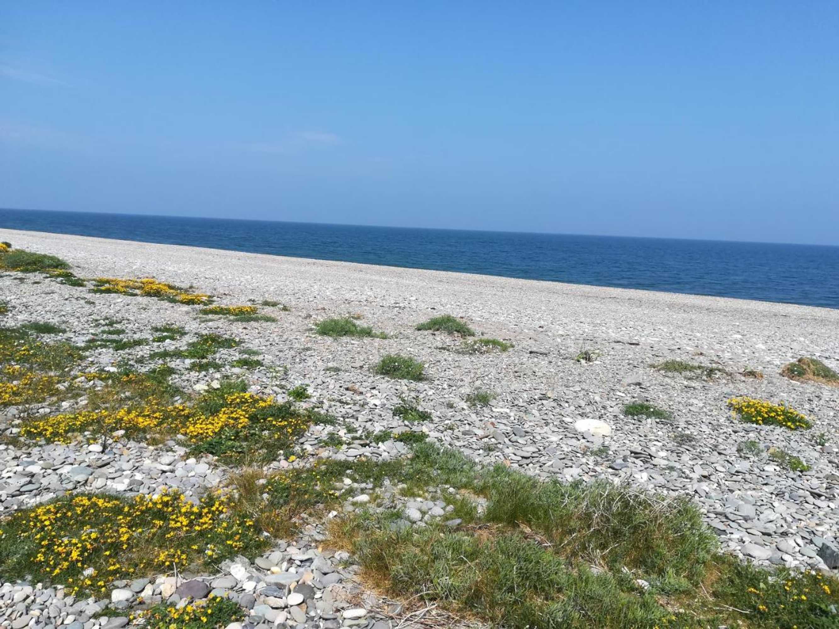 Gift card for Relaxing Space.