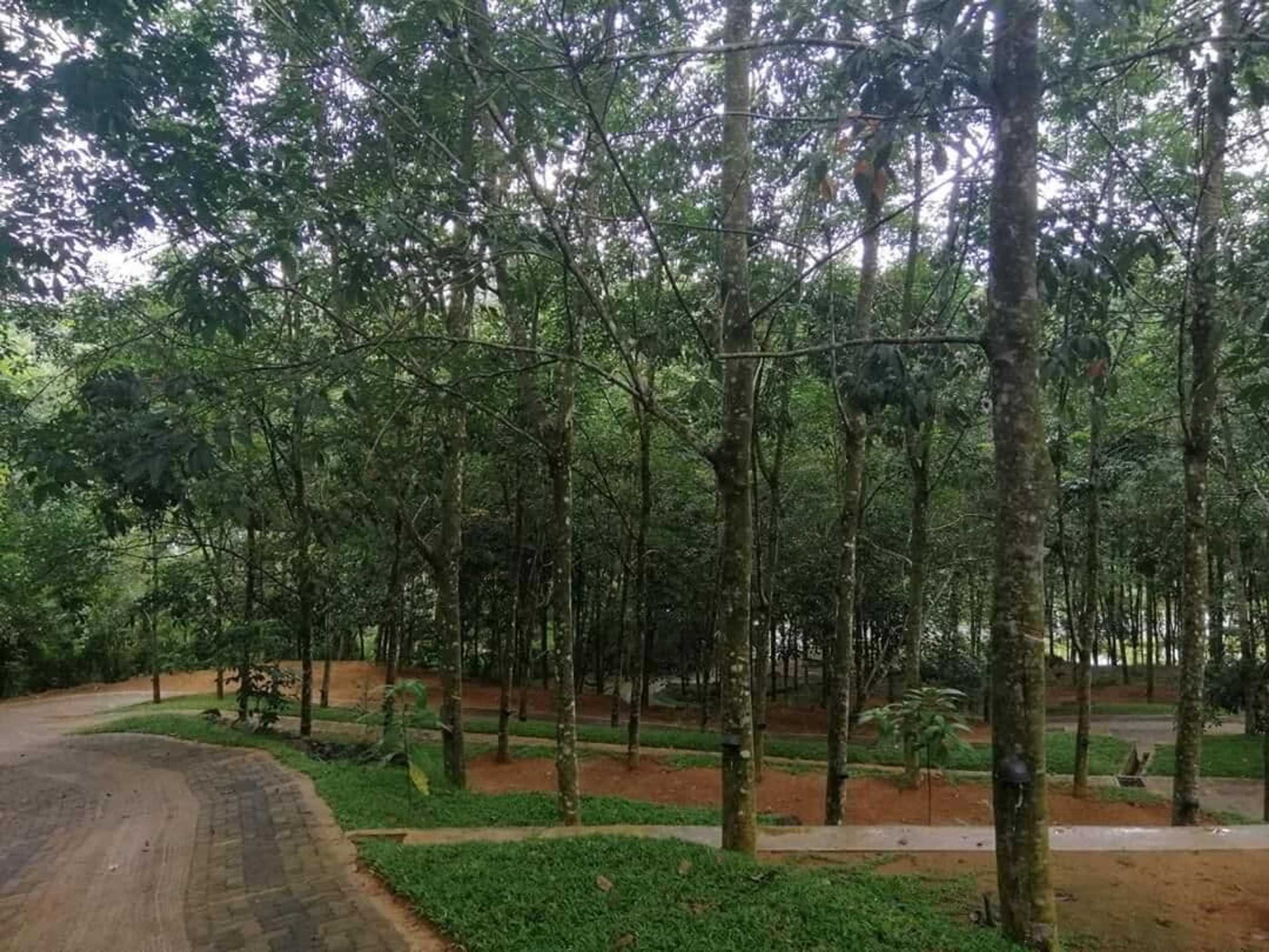 Gift card for Seethawaka Royal Resort Gift card for Seethawaka Royal Resort
