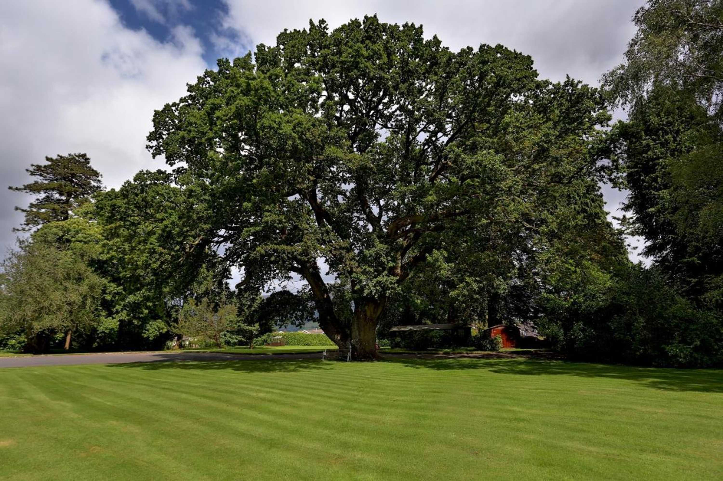 Gift card for Llangattock Park House