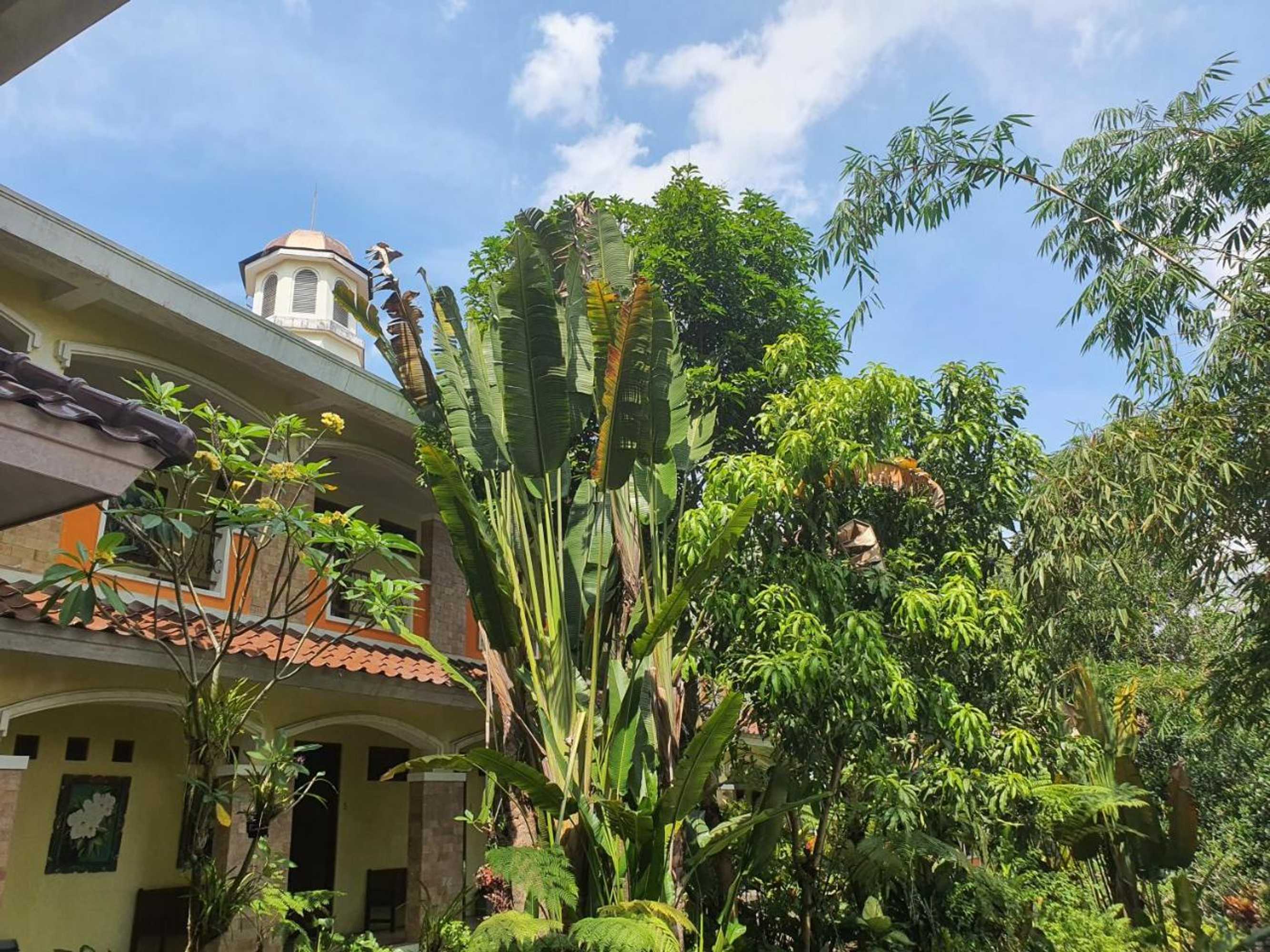 Gift card for Villa Alicia Gift card for Villa Alicia