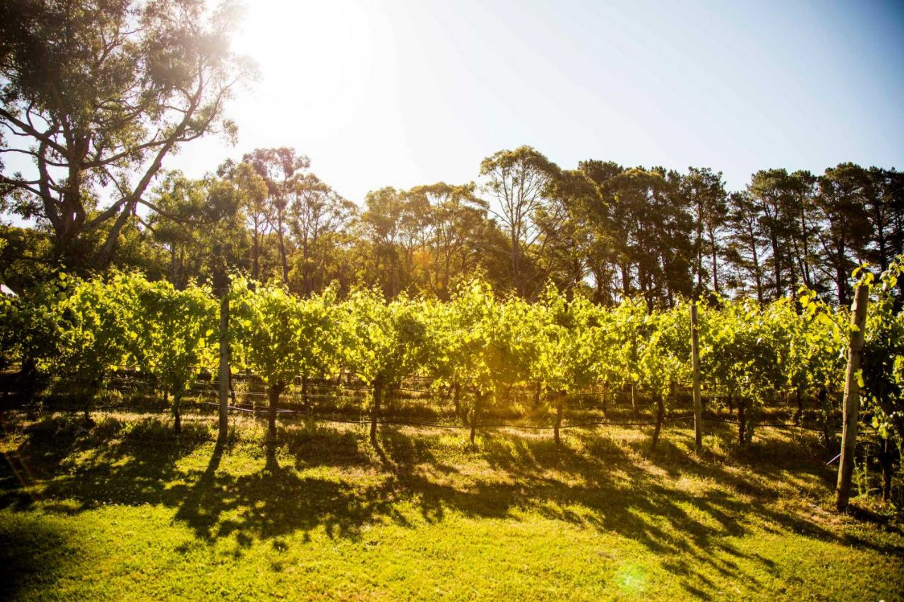 Gift card for Polperro Villas