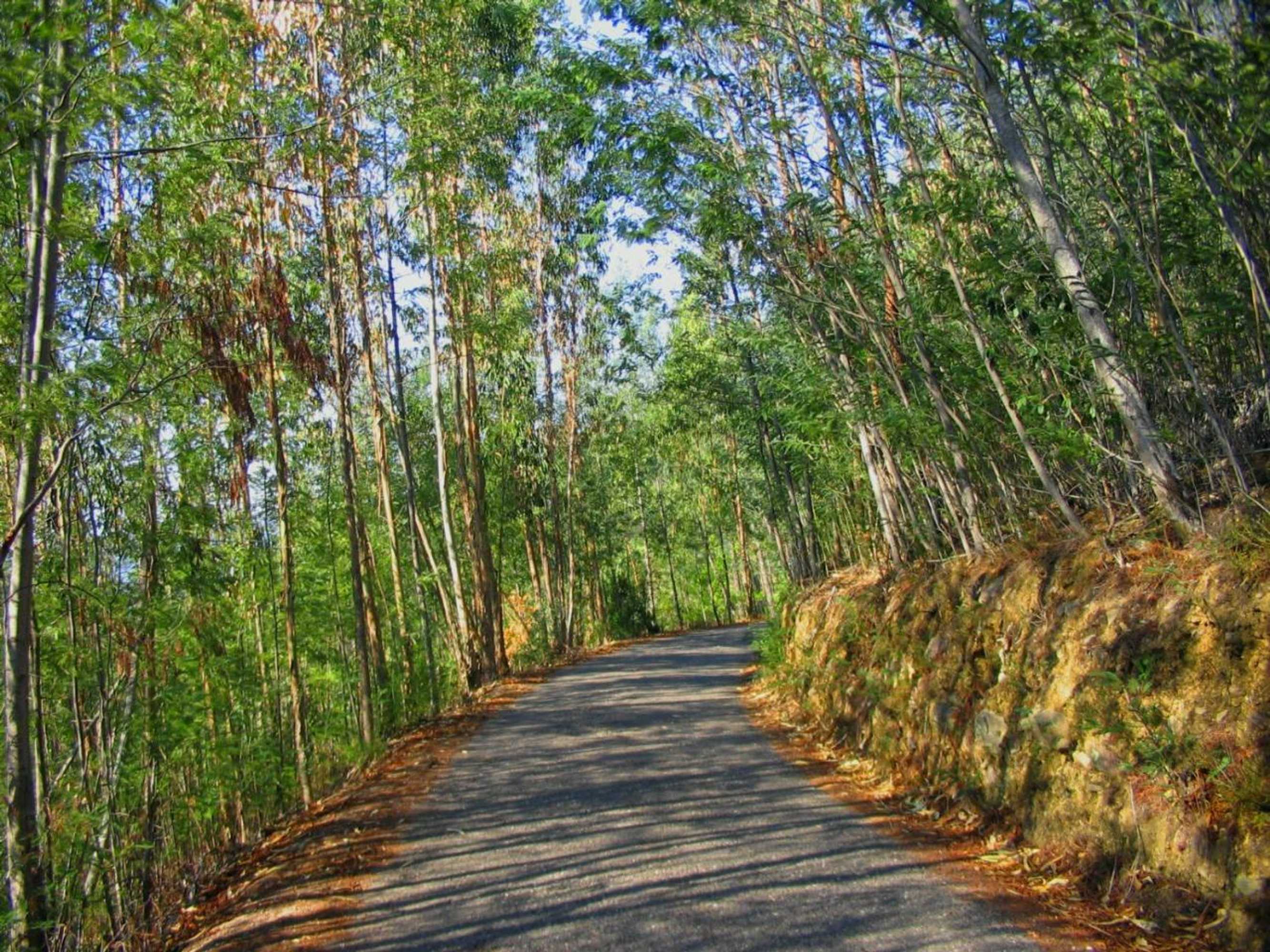 Gift card for Quinta no Pinhal