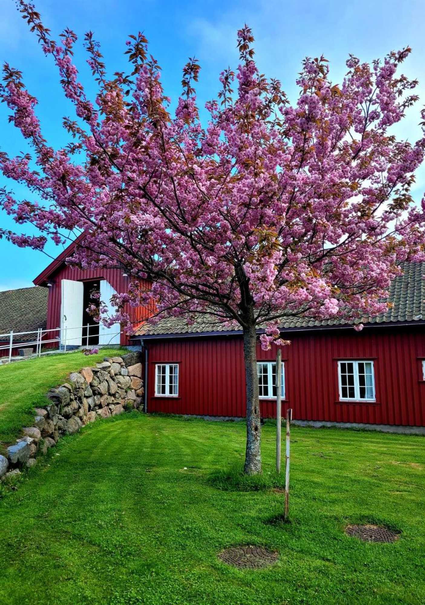 Gift card for Hotell Jeløy Radio