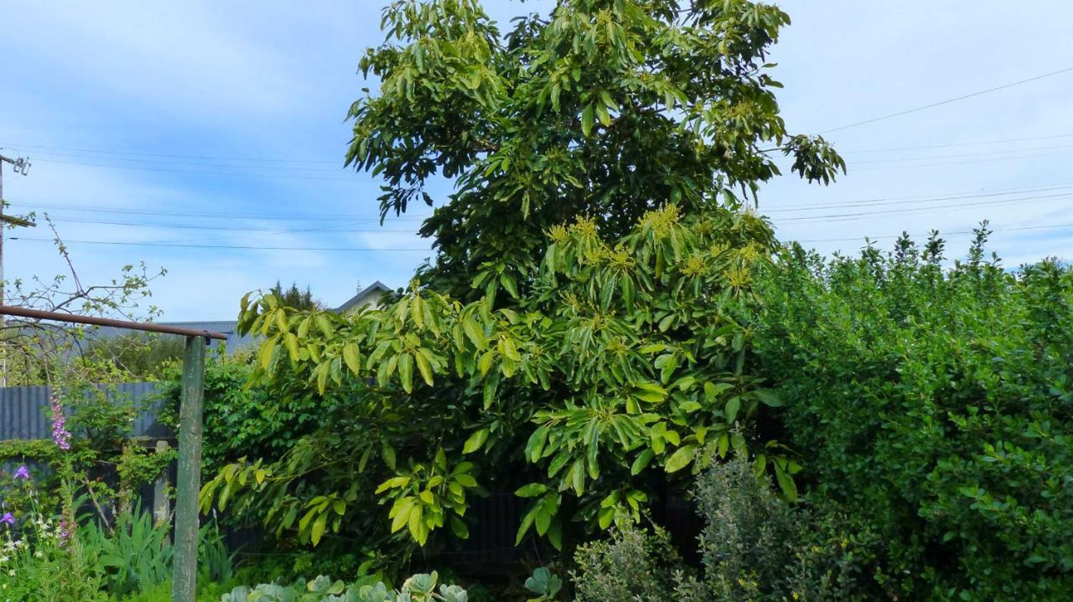 Gift card for Ashcroft Gardens Bed & Breakfast