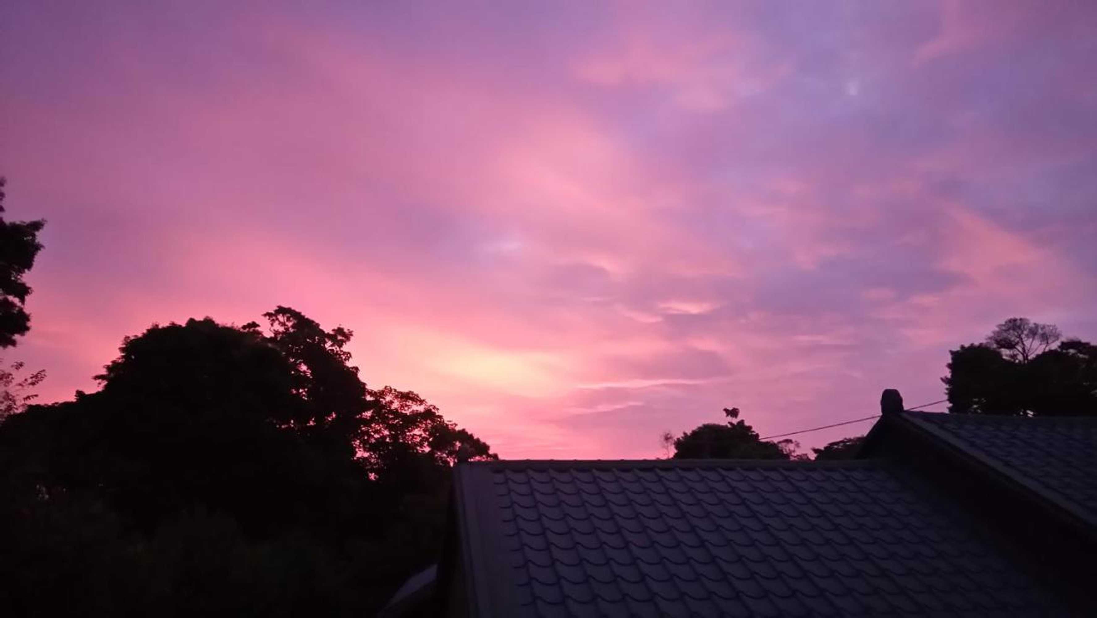 Gift card for Yellow Stone M.v.