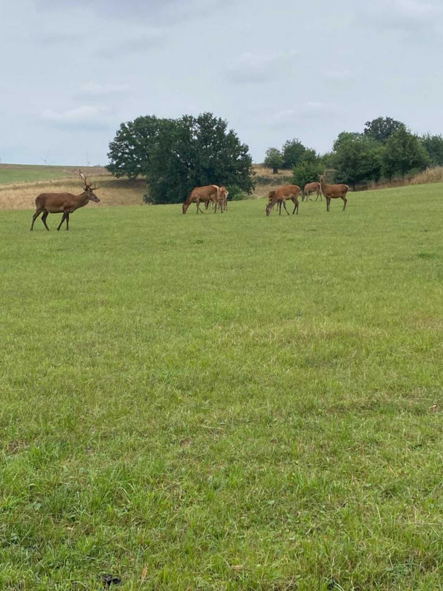 Gift card for Vanilla Hof