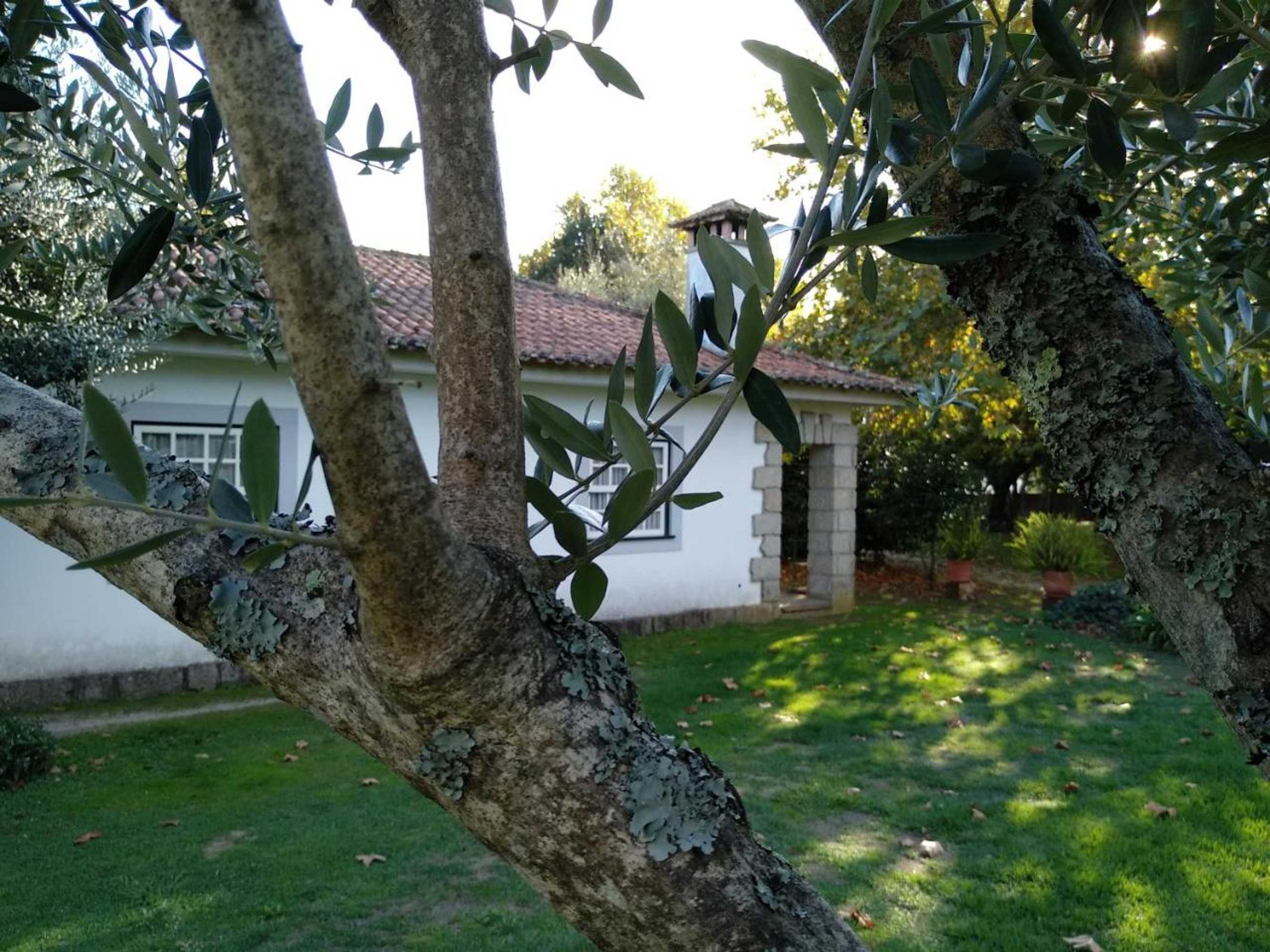 Gift card for Casas Do Zagao