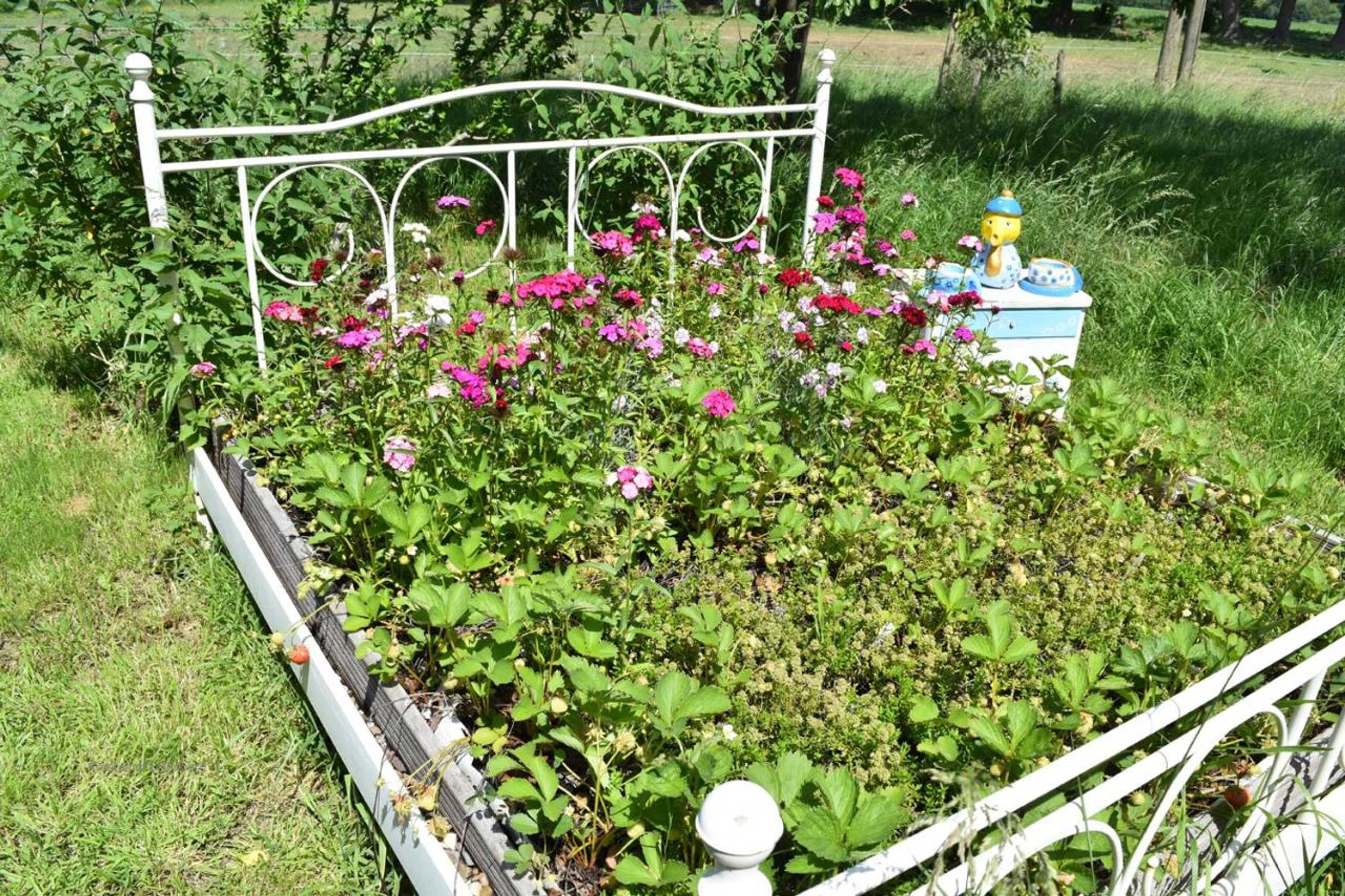 Gift card for Kreativhof Lehmberg