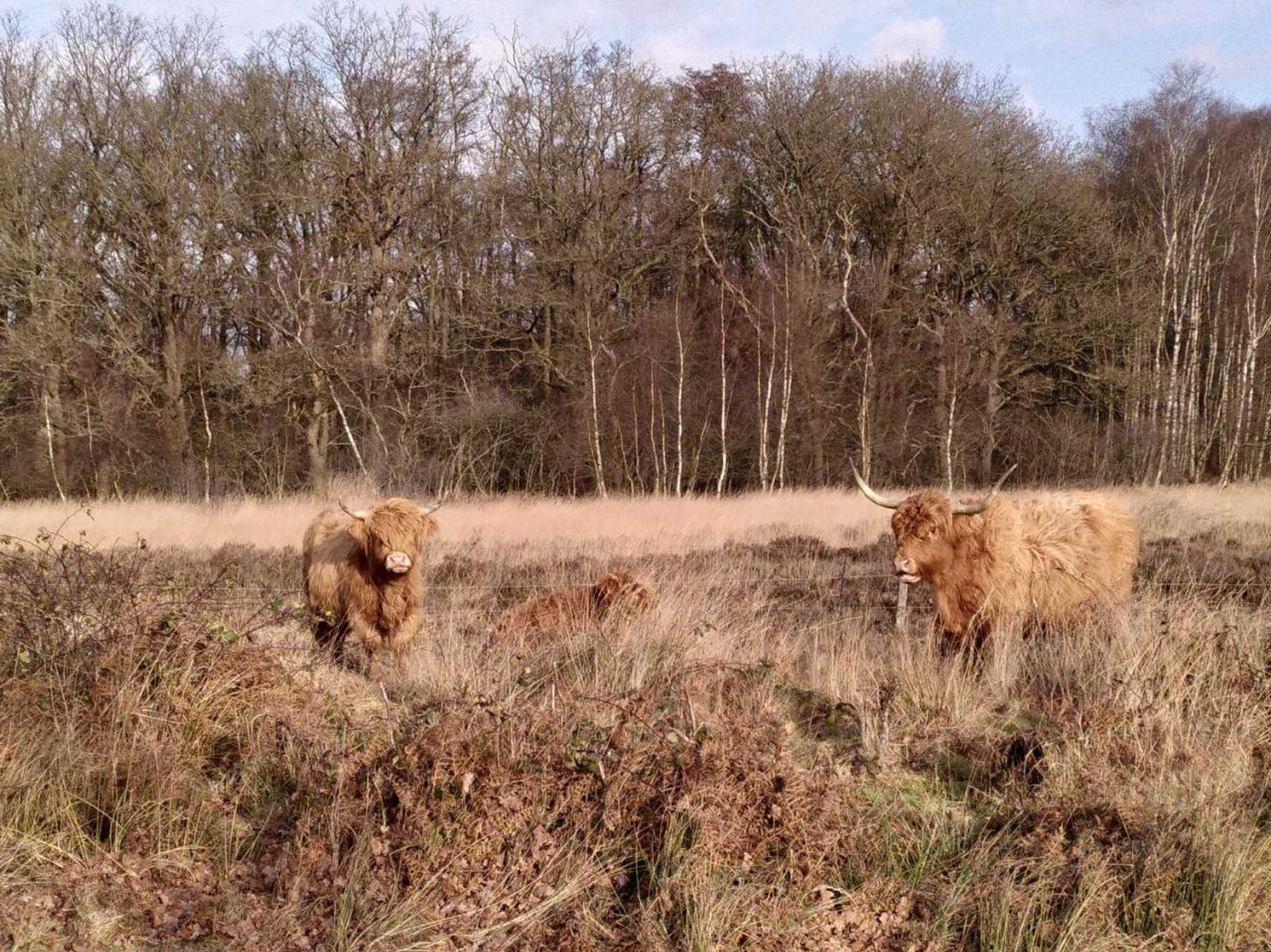 Gift card for Herberg De Eexter Os