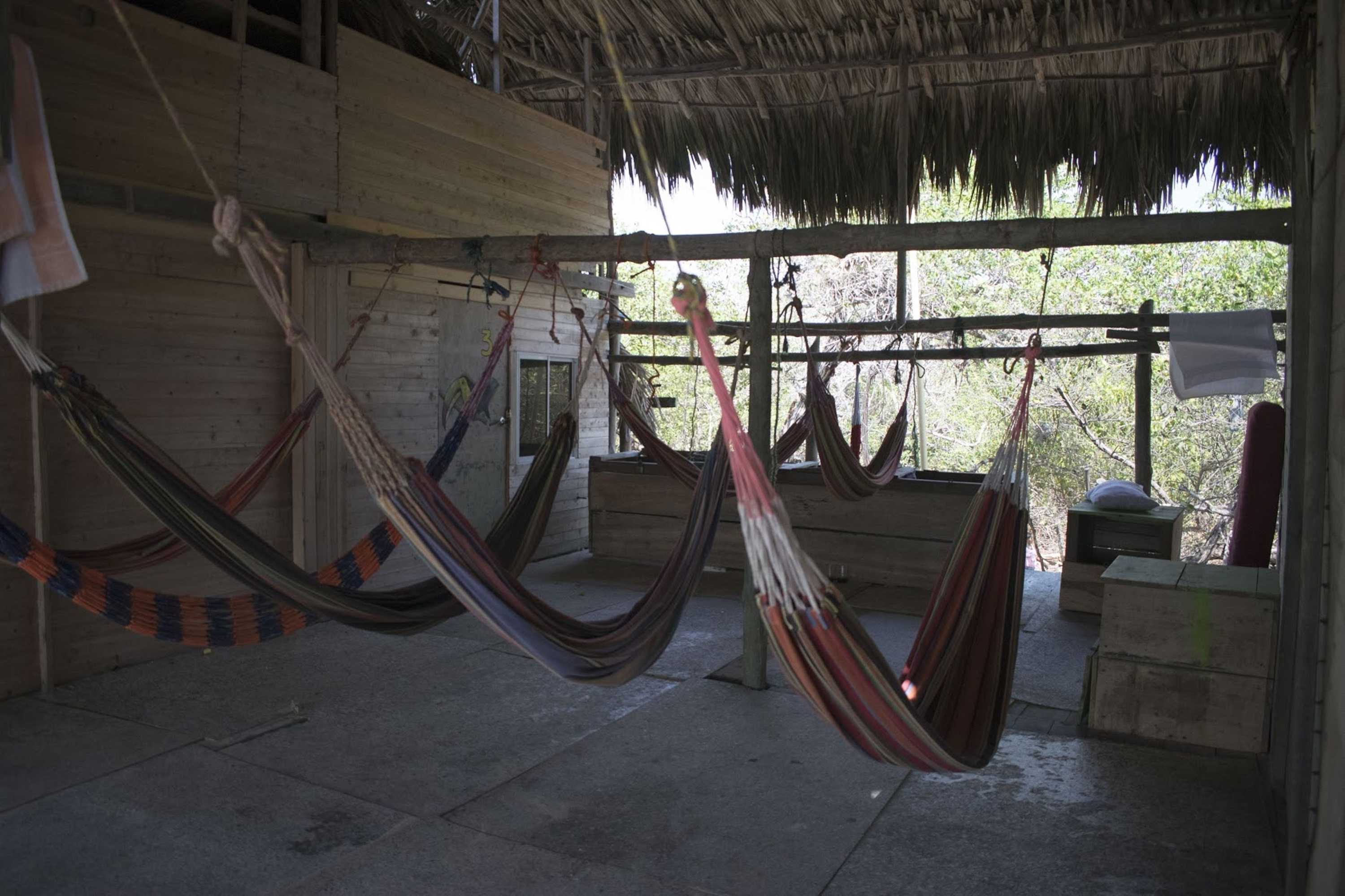 Gift card for The Pacho Lay