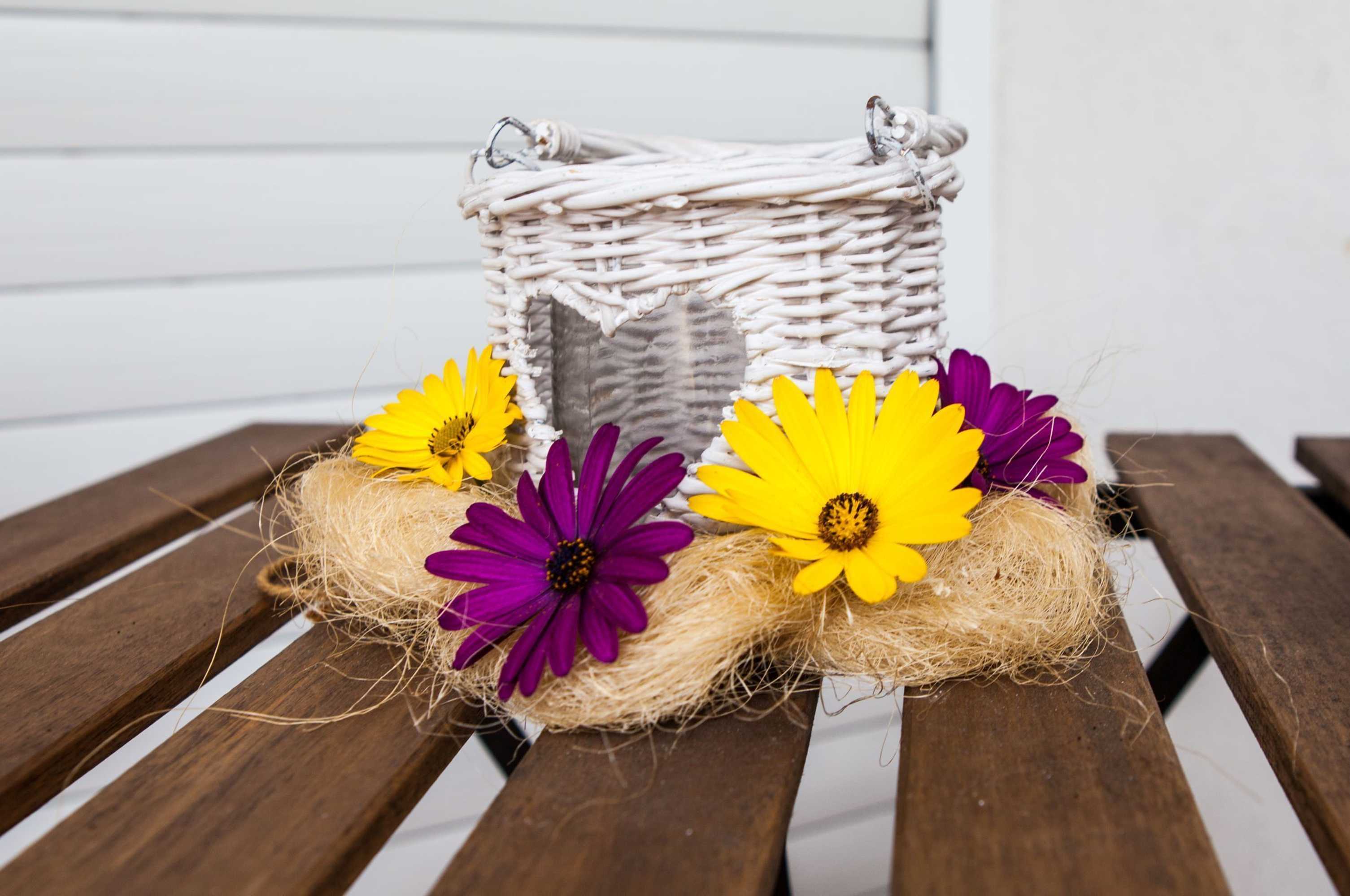 Gift card for Cyrus House Gift card for Cyrus House