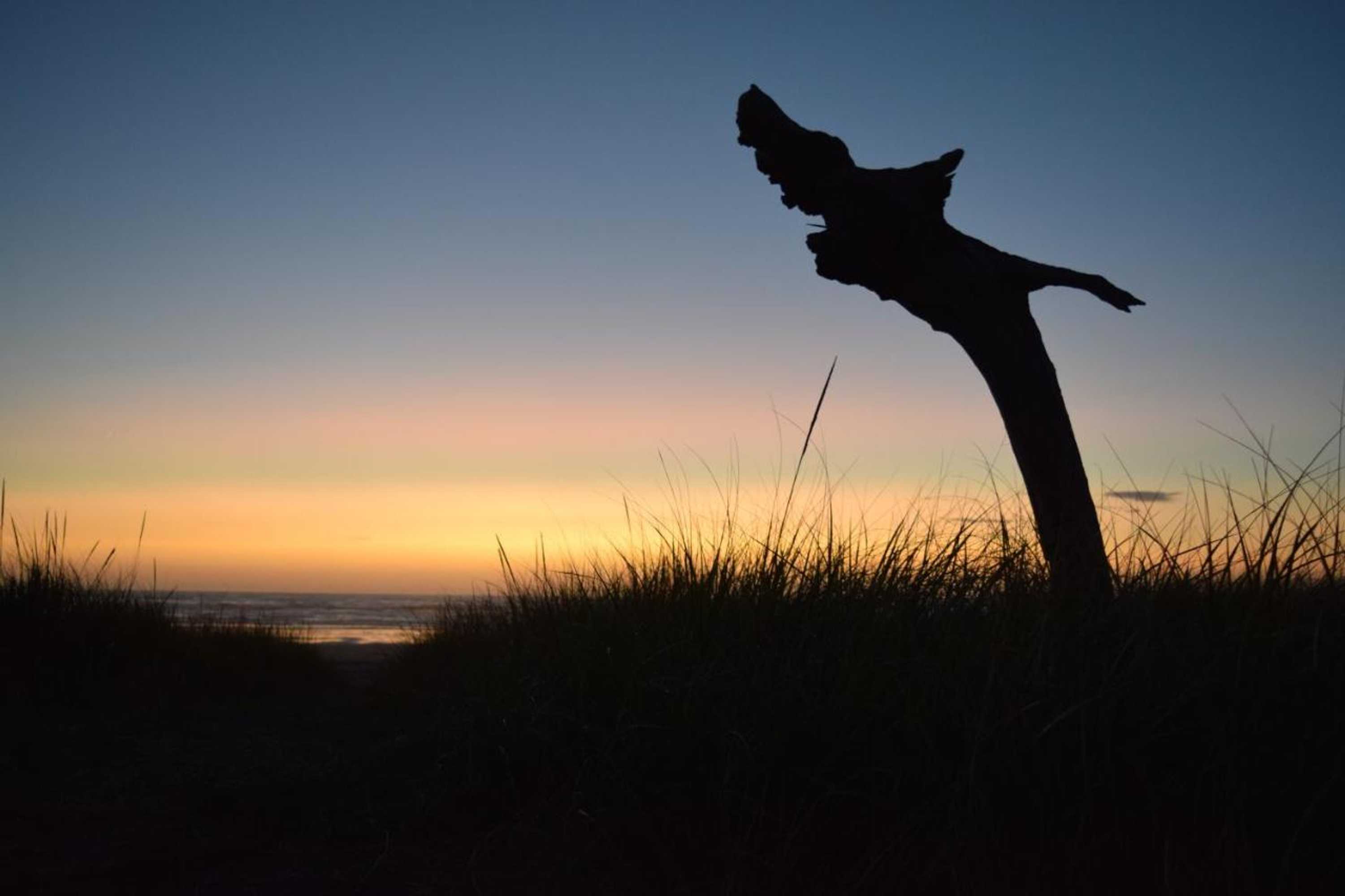 Gift card for Mermaid Inn