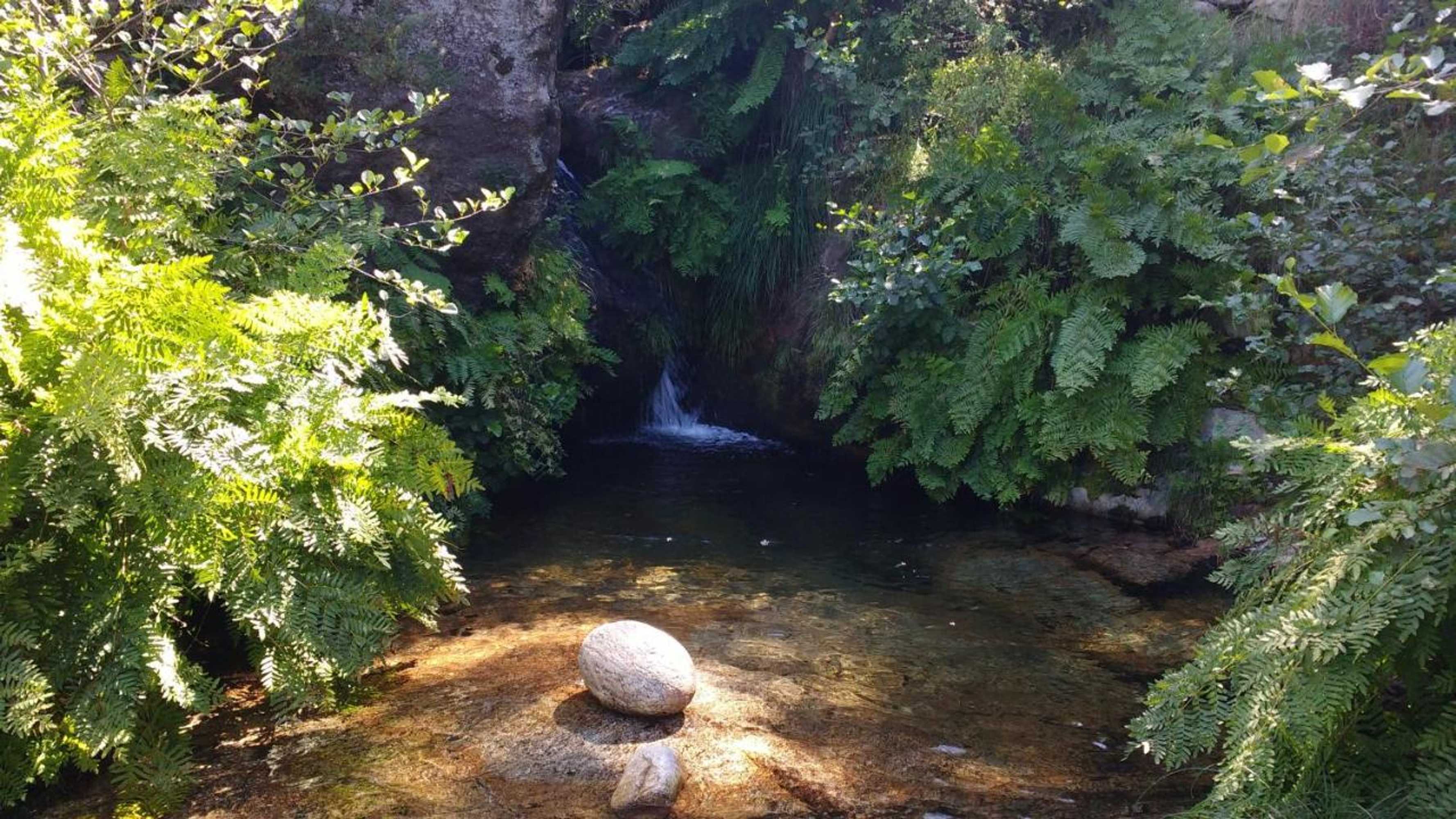 Gift card for Casa do Pinheiro Manso