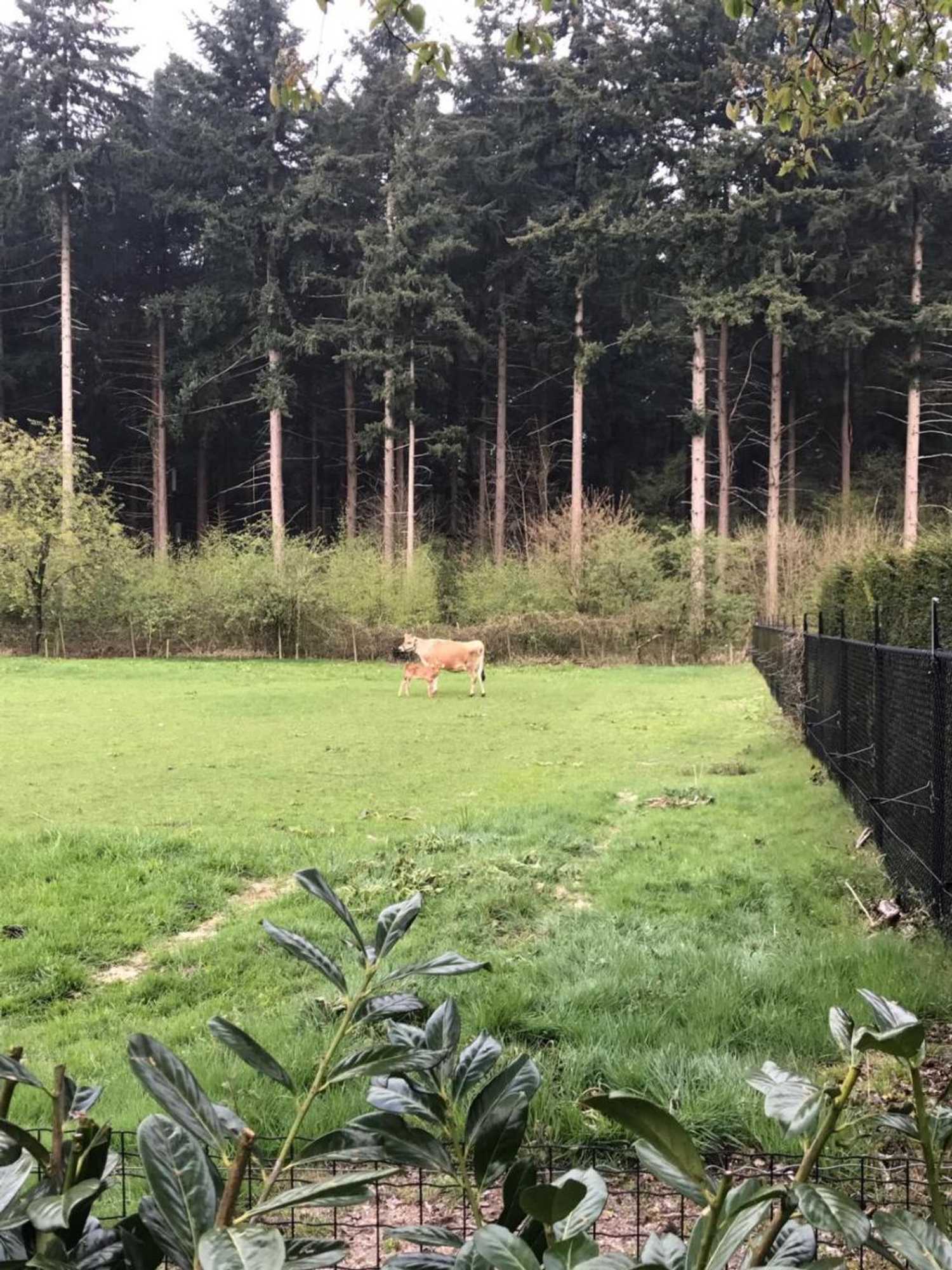 Gift card for Bij Zelle