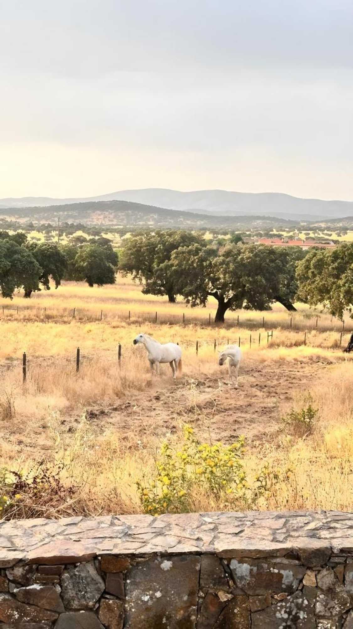 Gift card for Herdade da Carapuça