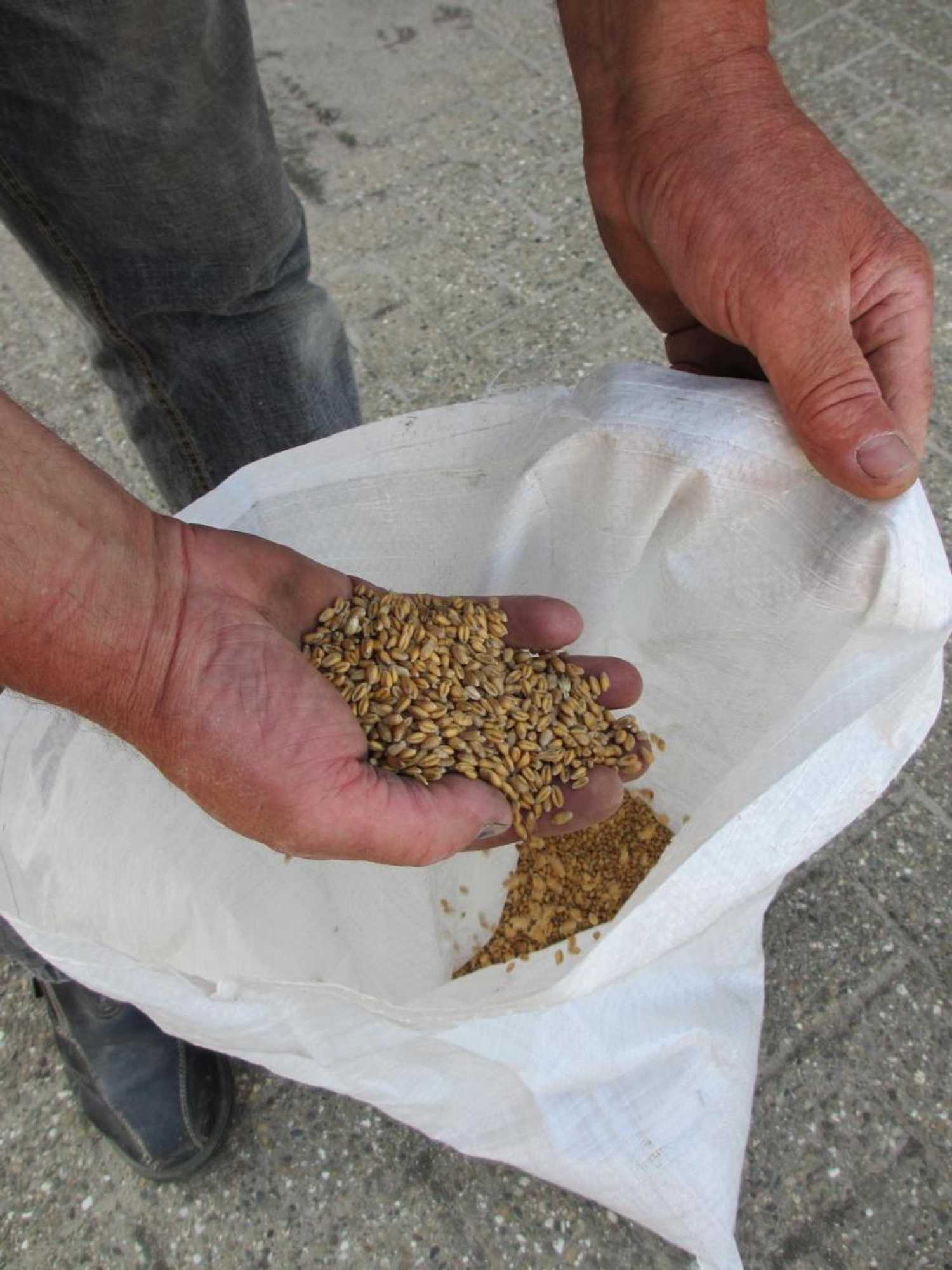 Gift card for B&b Boerderij Wijtvliet