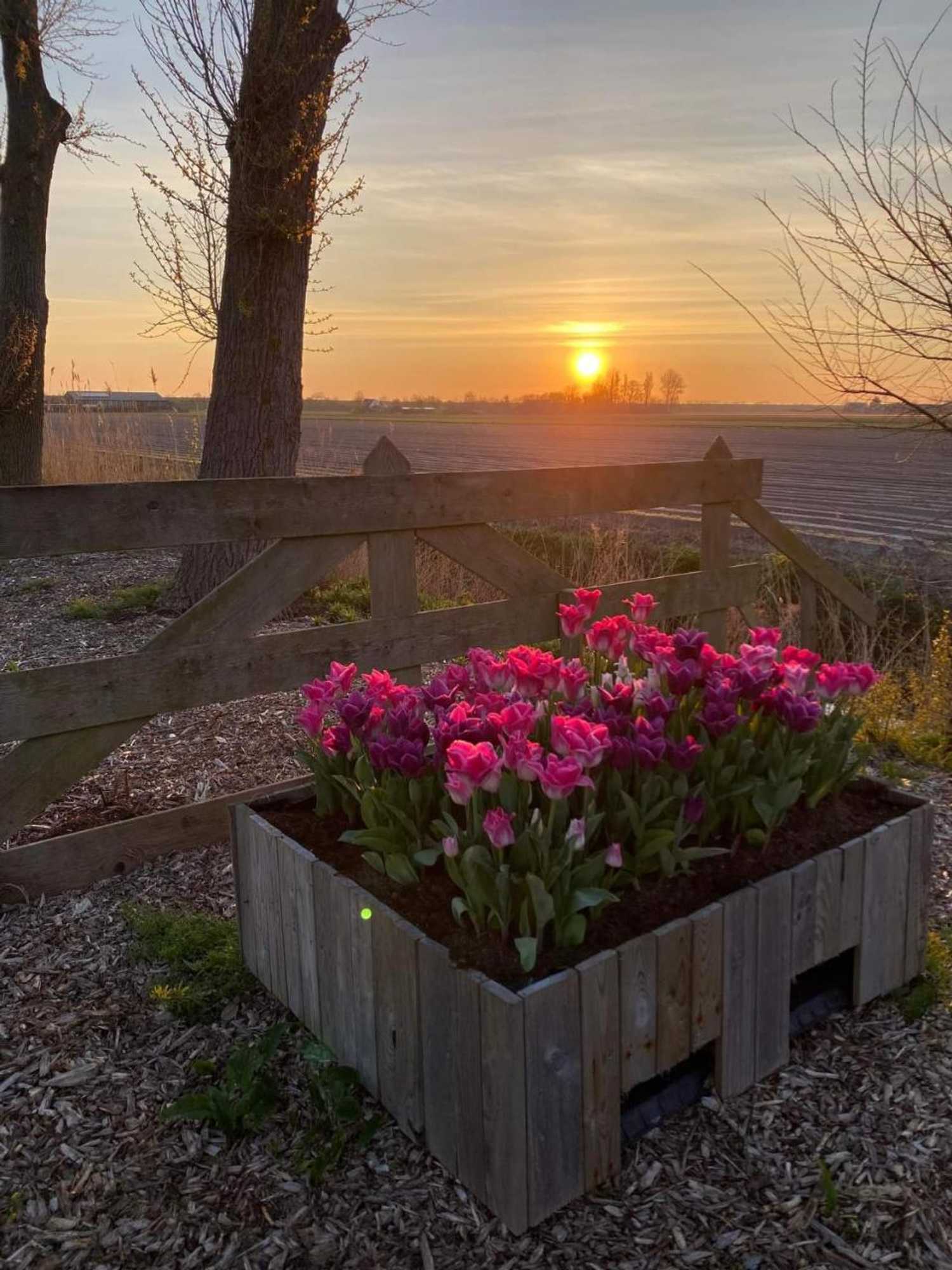 Gift card for Camping De Tulpenweide Kampeerplaats