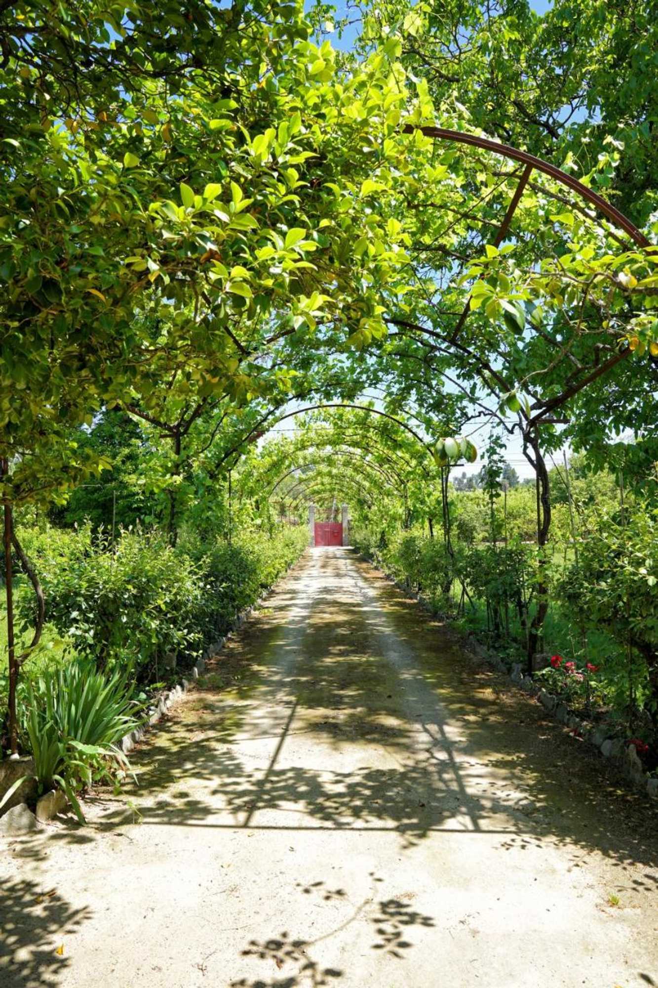 Gift card for Casa de Docim