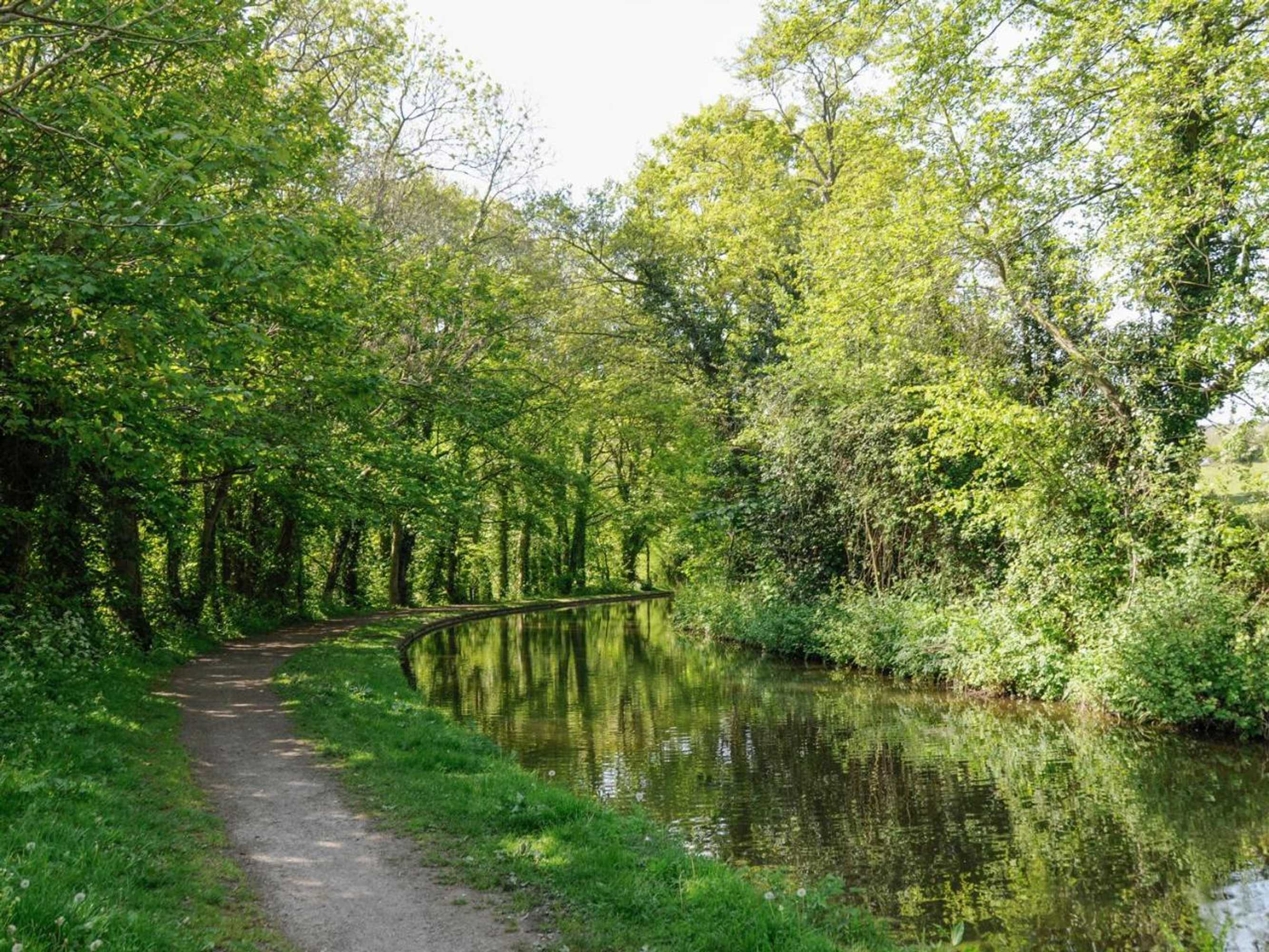 Gift card for Black Cat Bach