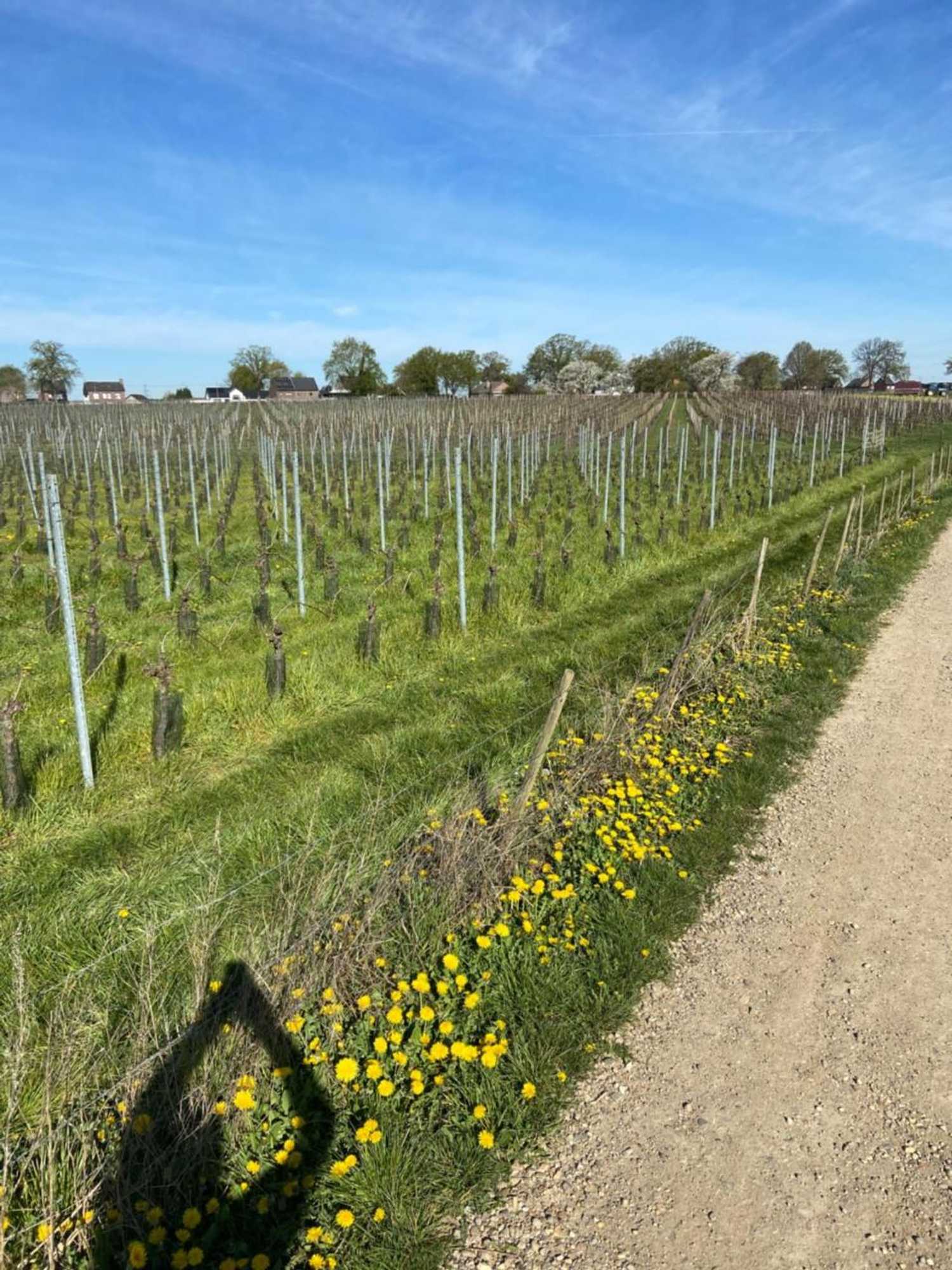 Gift card for Maas Lodge