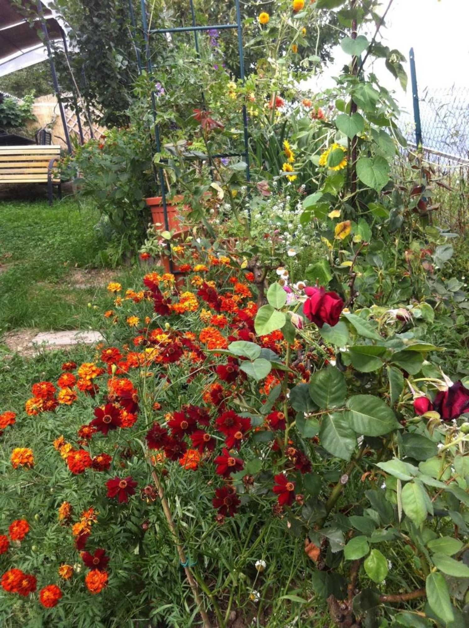 Gift card for B&b Alba Sul Lago