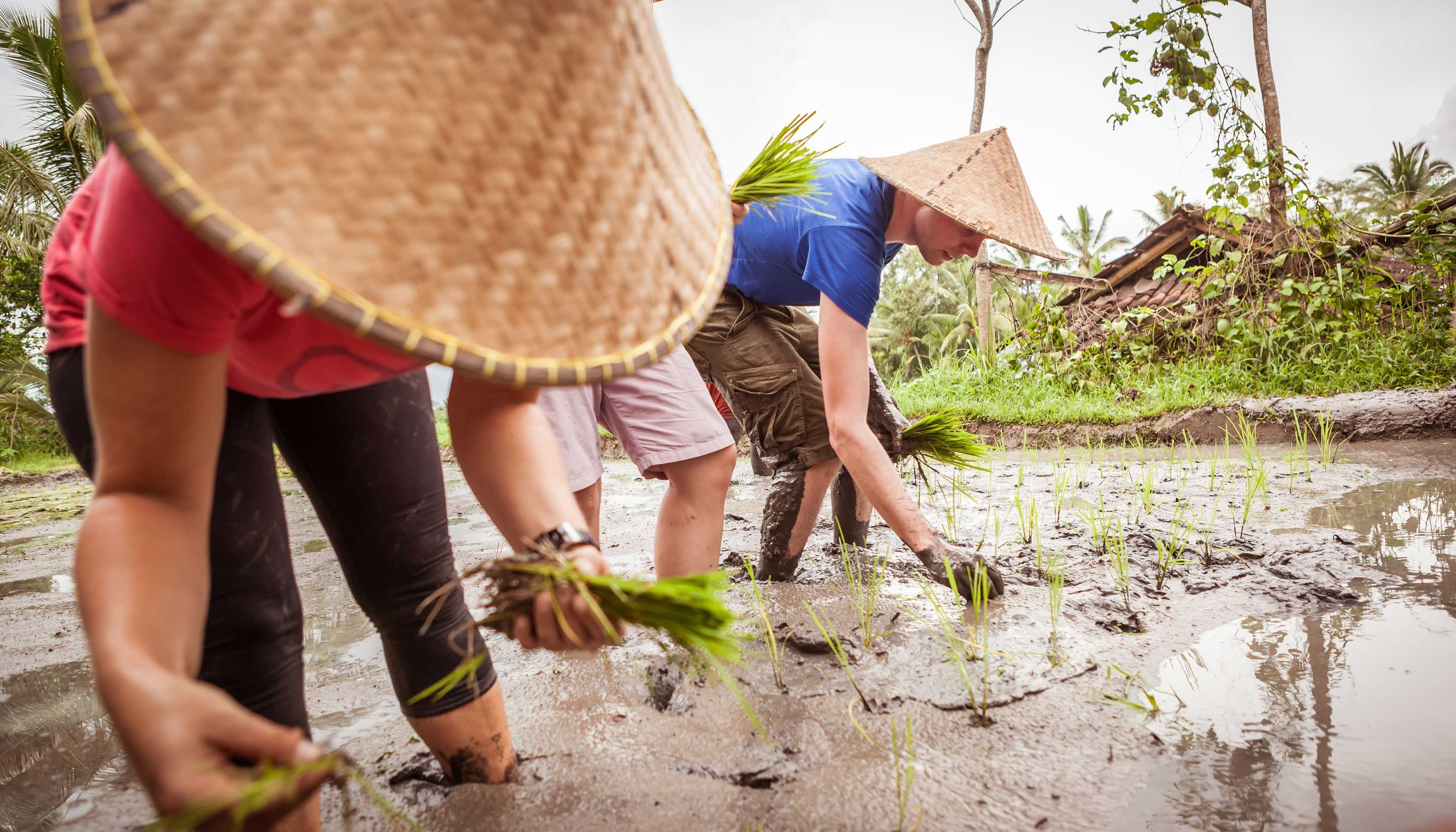 Gift card for Rumah Desa