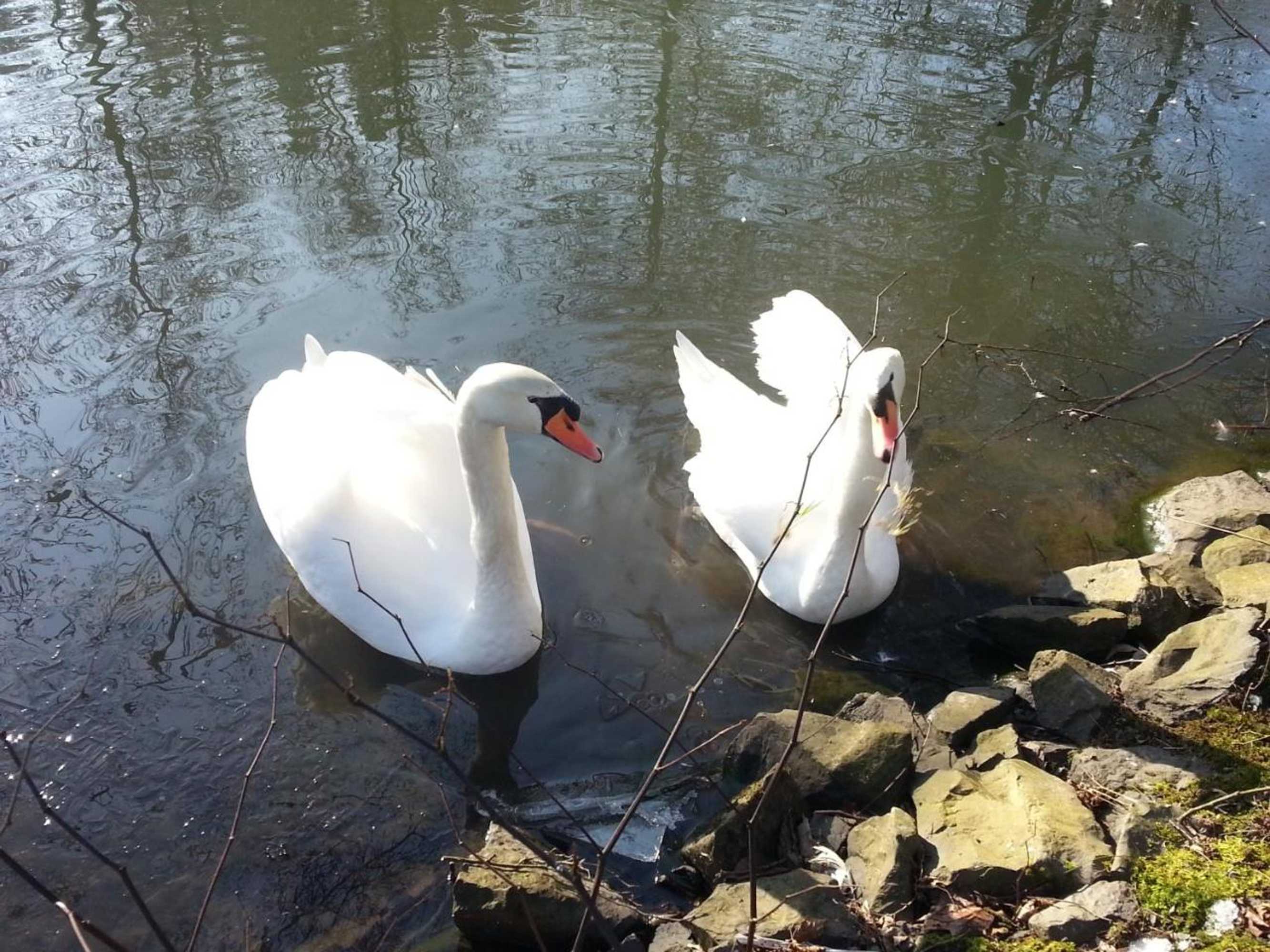 Gift card for Ferienwohnungen Angela