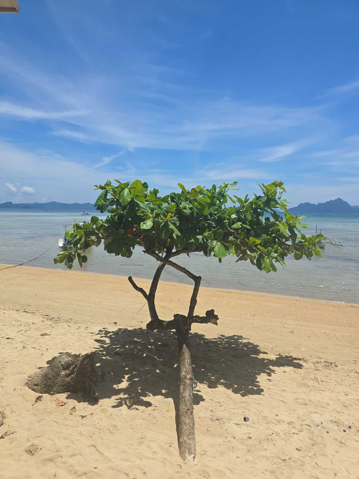 Gift card for Reddoorz @ Island Front Cottages El Nido Gift card for Reddoorz @ Island Front Cottages El Nido