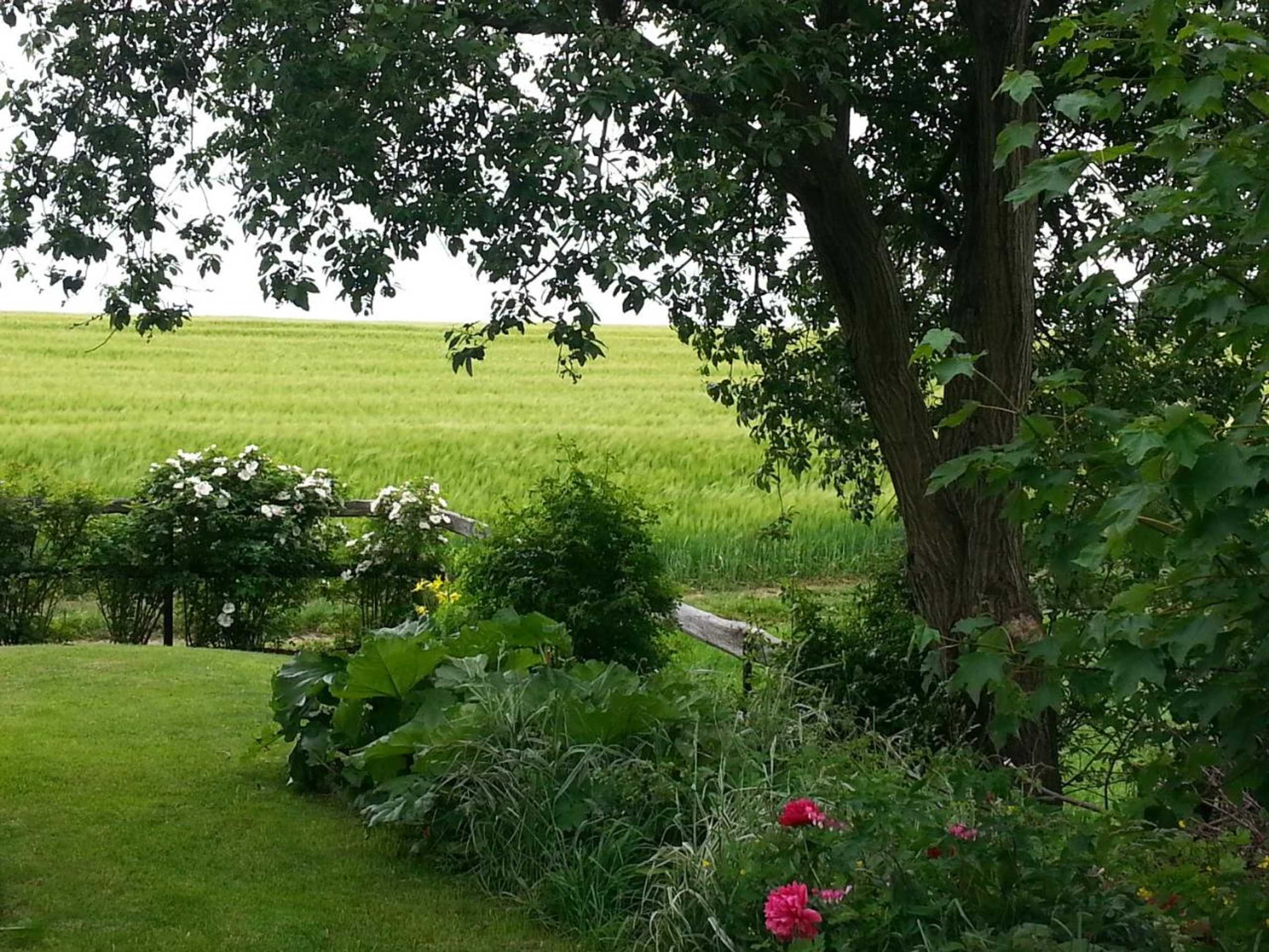 Gift card for Fewo an Der Teufelskanzel