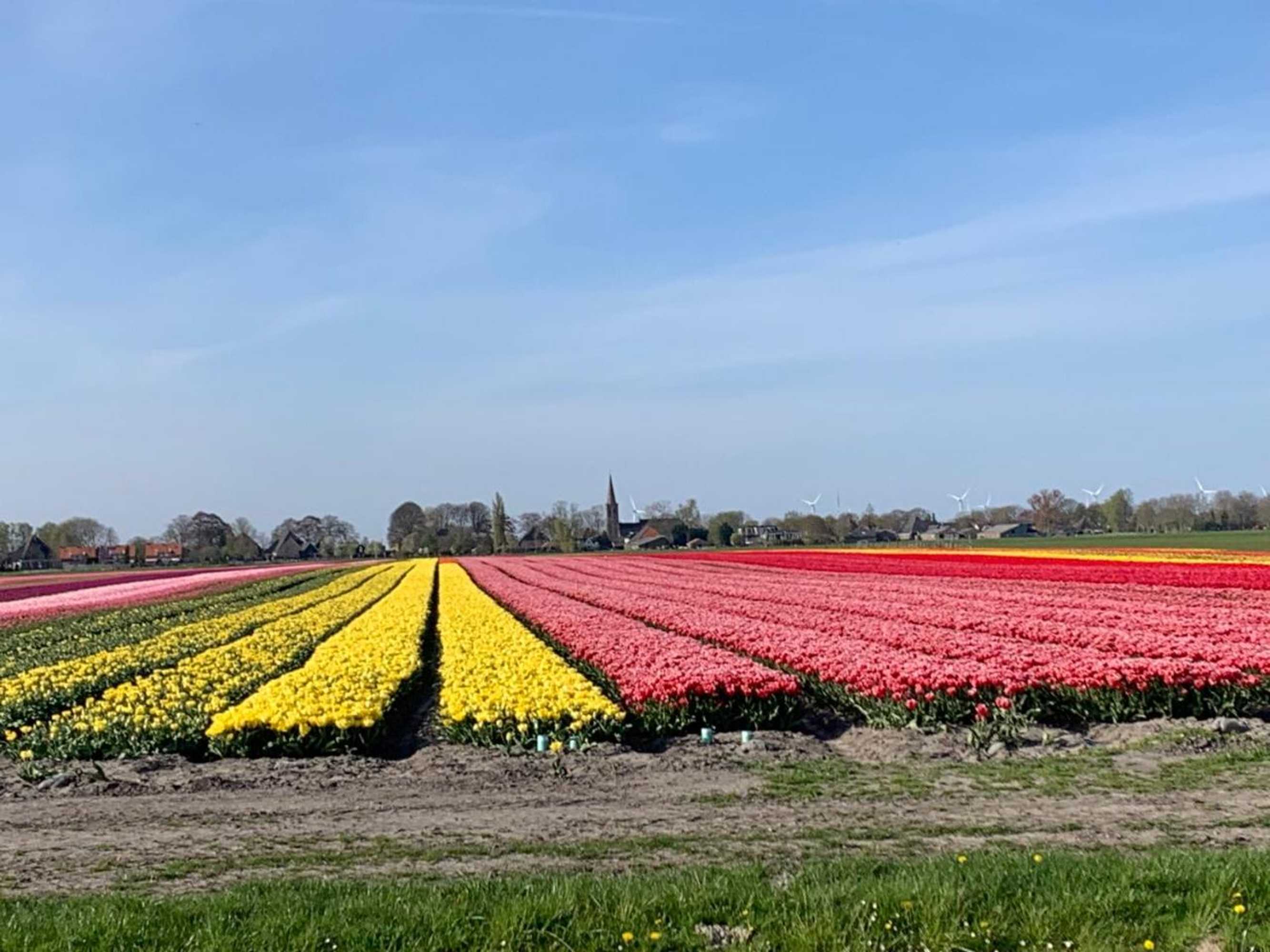 Gift card for Het Twiscker Huys