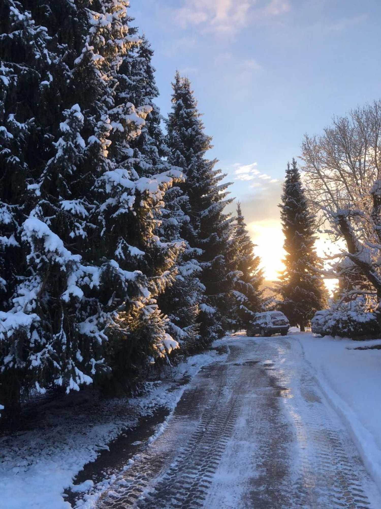 Gift card for Casa Wellbella