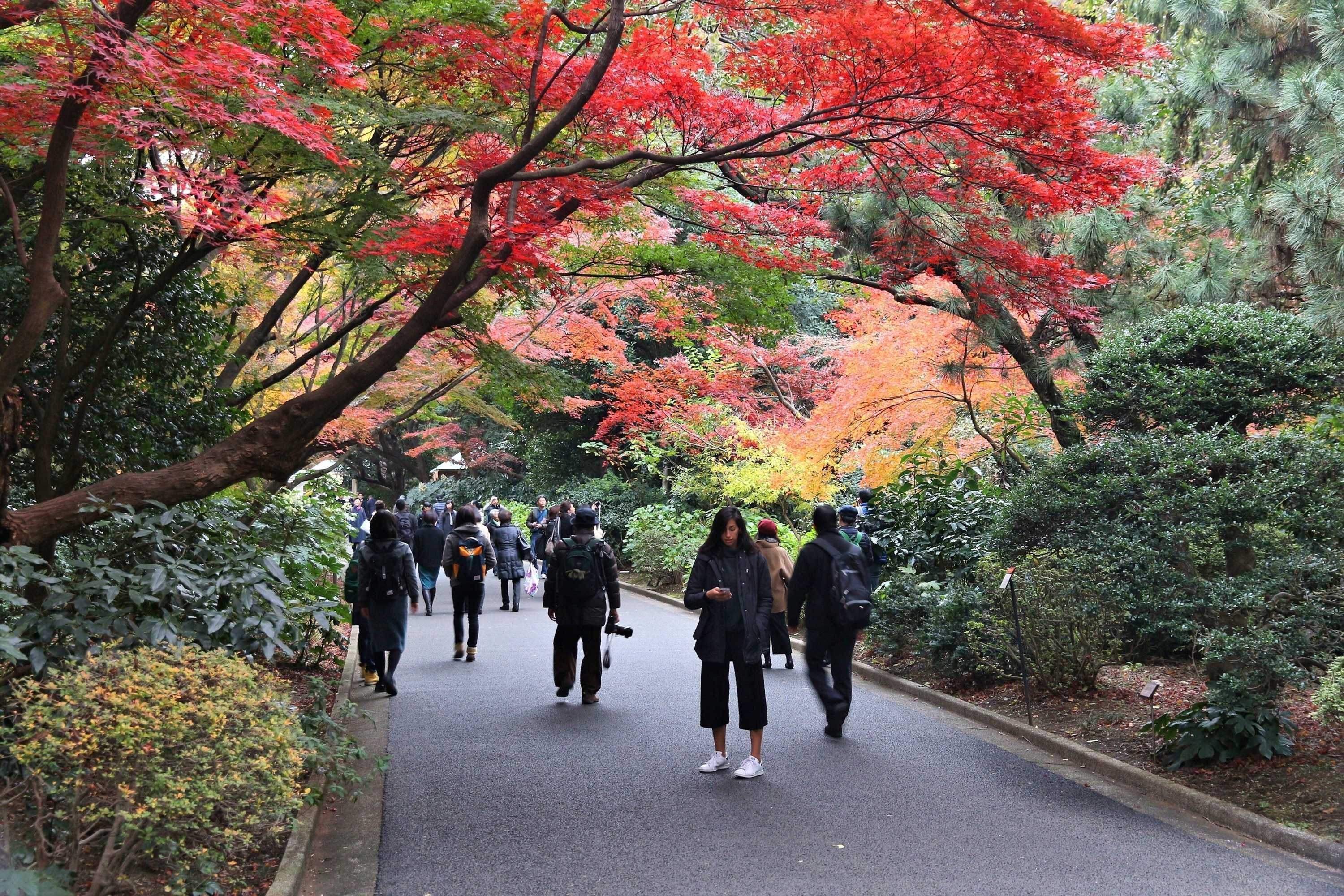 Gift card for Kimpton Shinjuku Tokyo by Ihg Gift card for Kimpton Shinjuku Tokyo by Ihg