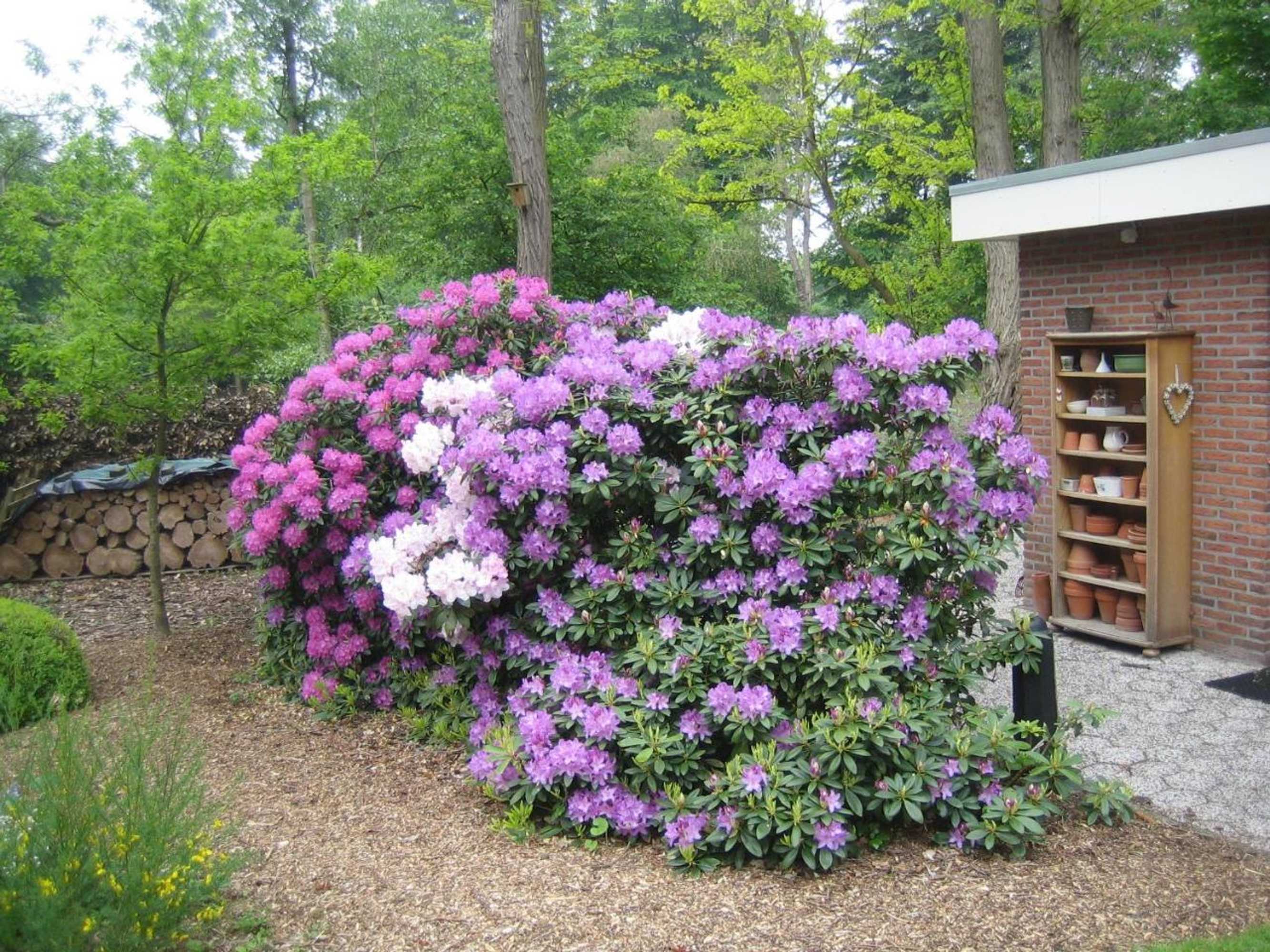 Gift card for B&b Schipborg