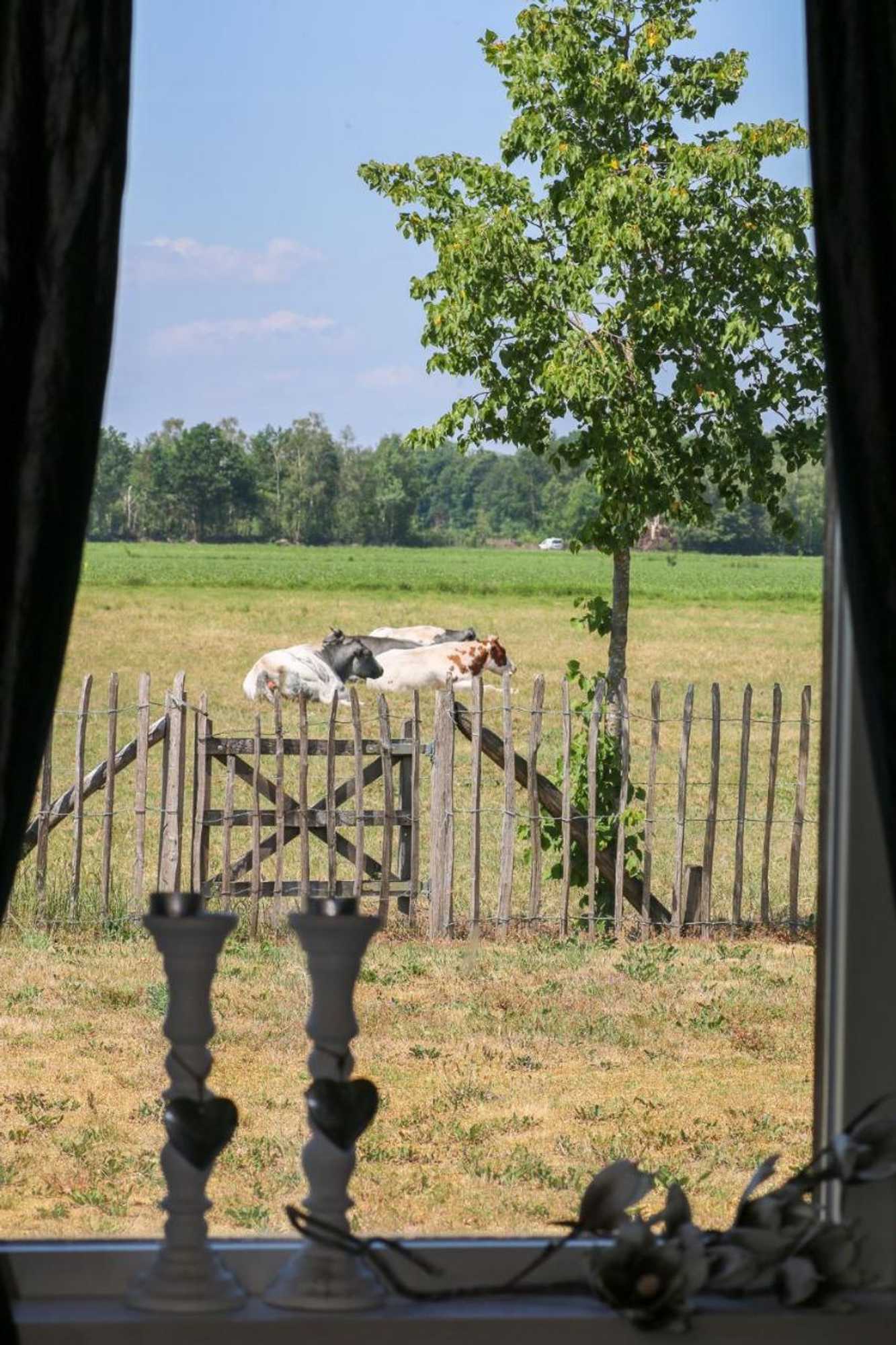 Gift card for Gasthoeve-De-Drie-Eiken