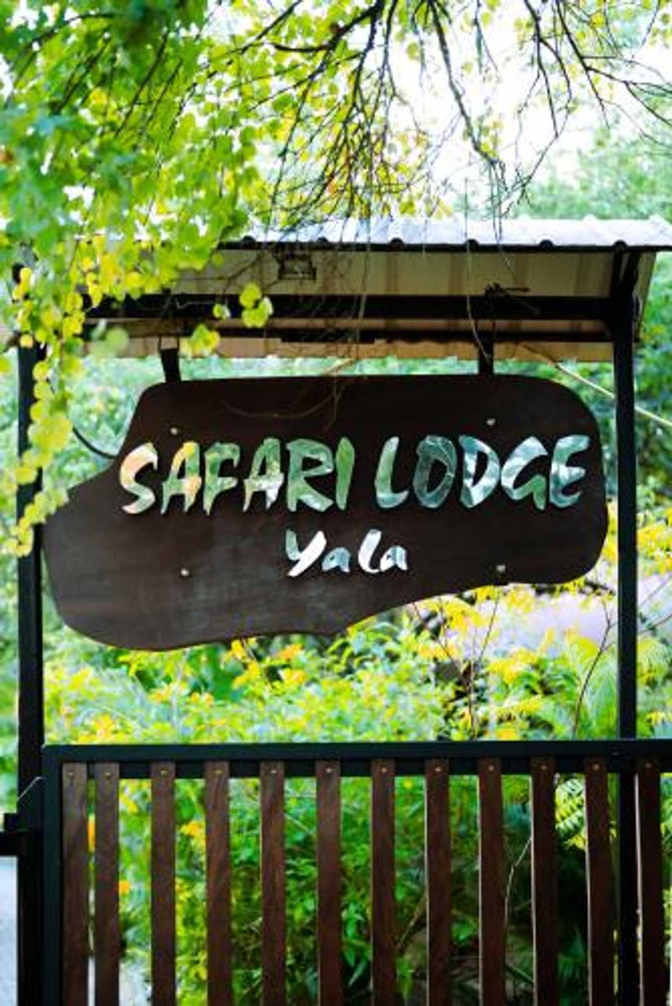 Gift card for Safari Lodge Yala Gift card for Safari Lodge Yala