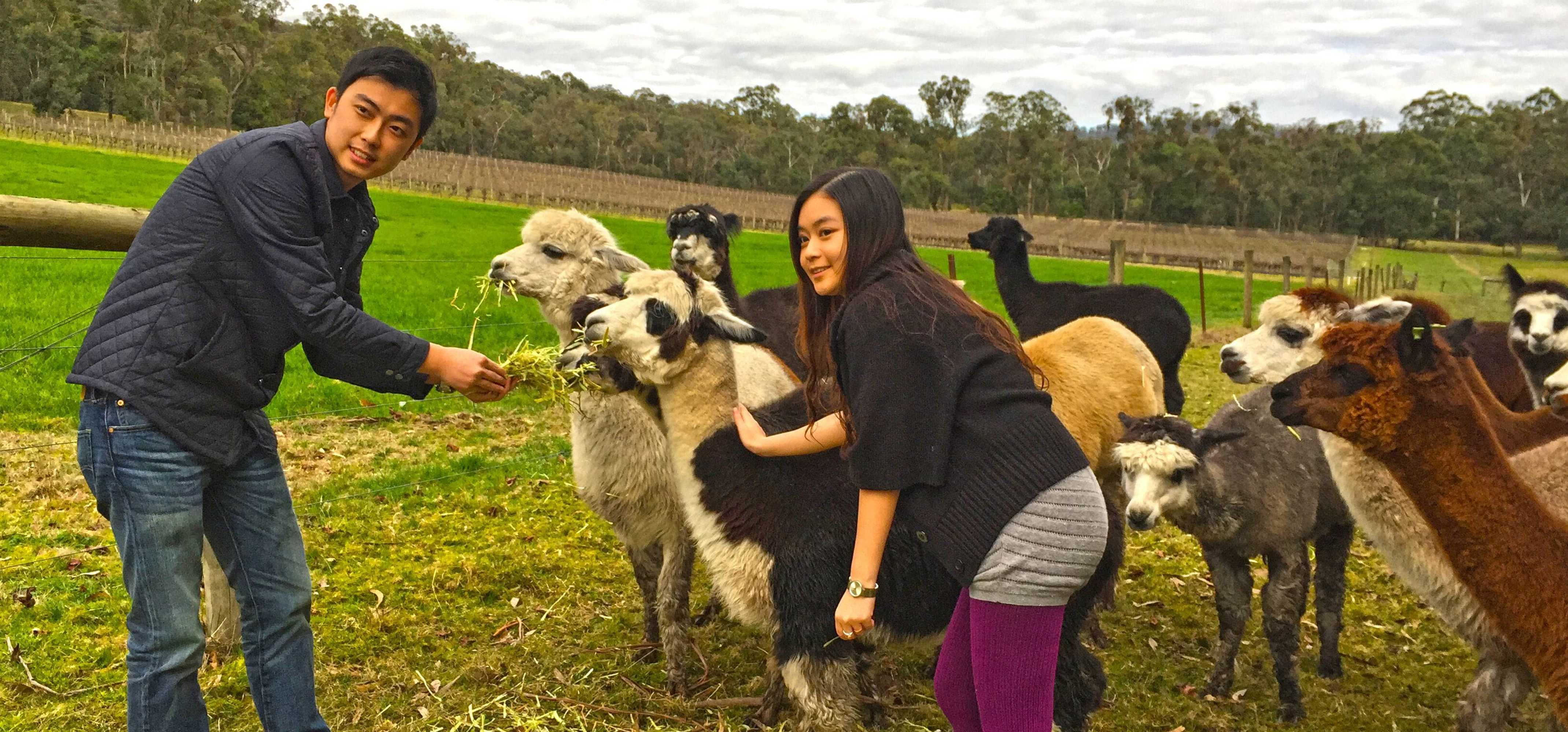 Gift card for Valley Farm Vineyard Villas