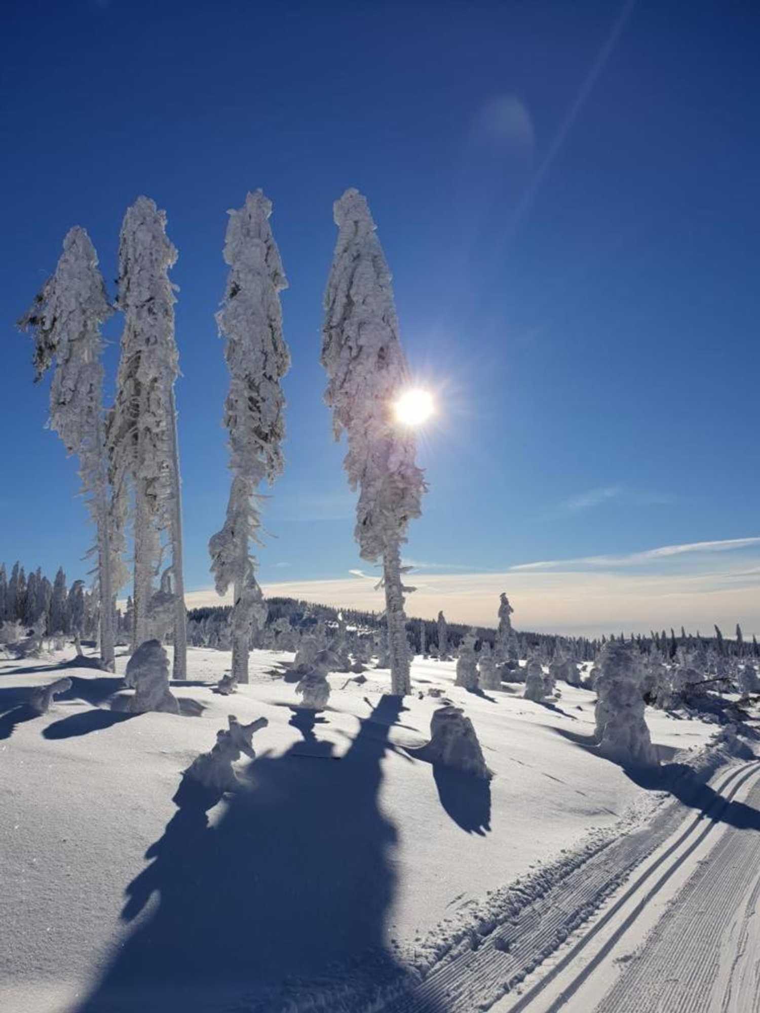 Gift card for Hotel Waldspitze