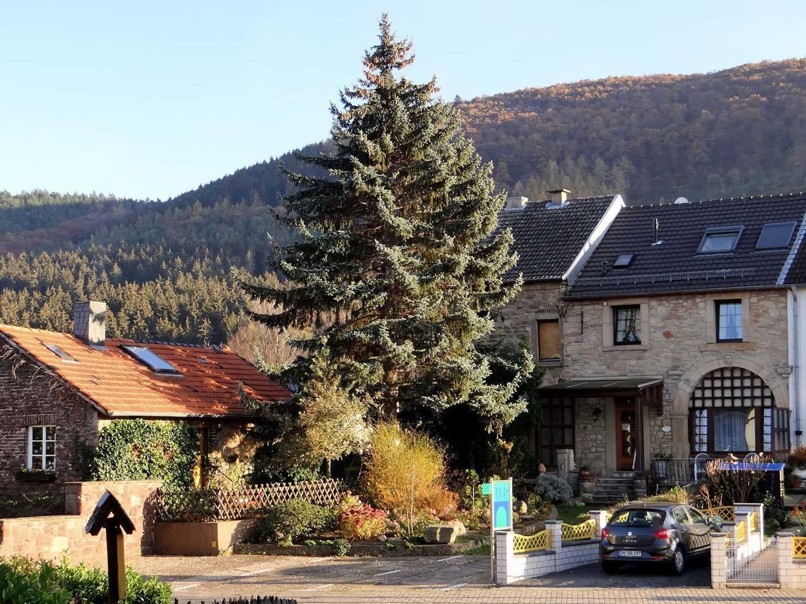 Gift card for Gästehaus Burg Molbach