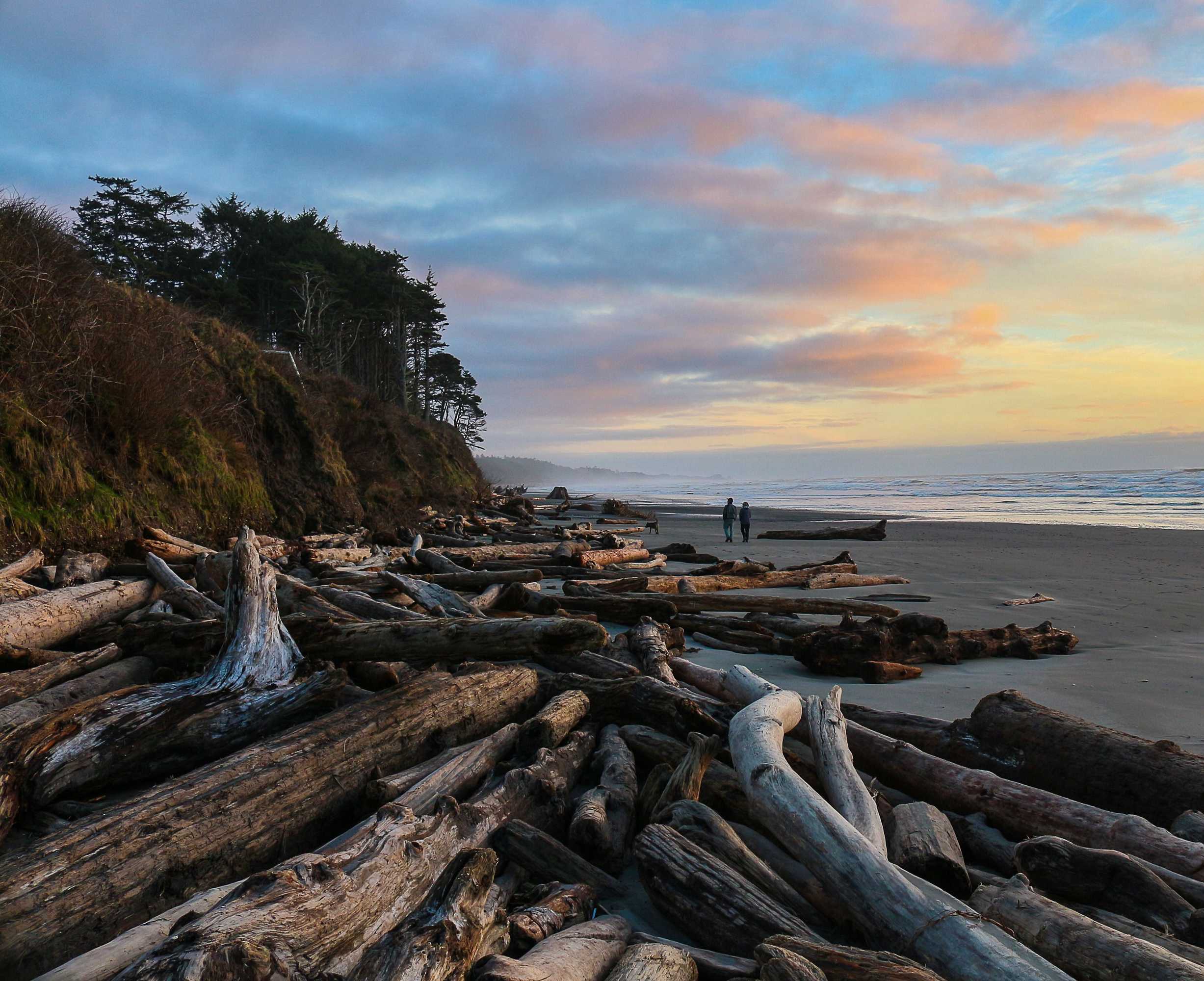 Gift card for Kalaloch Lodge in Olympic National Park Gift card for Kalaloch Lodge in Olympic National Park