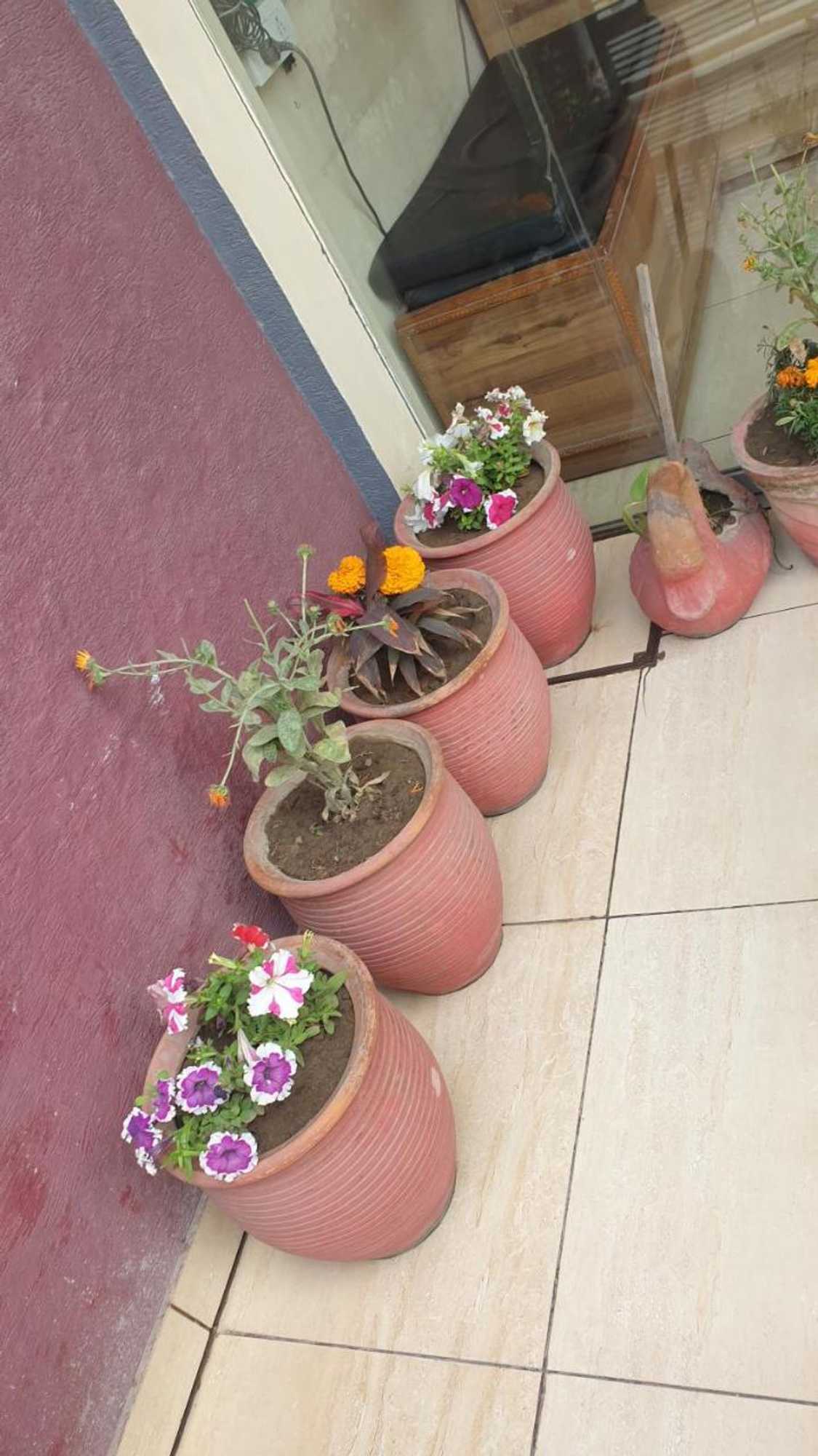 Gift card for Aanantham by Maliks Gift card for Aanantham by Maliks