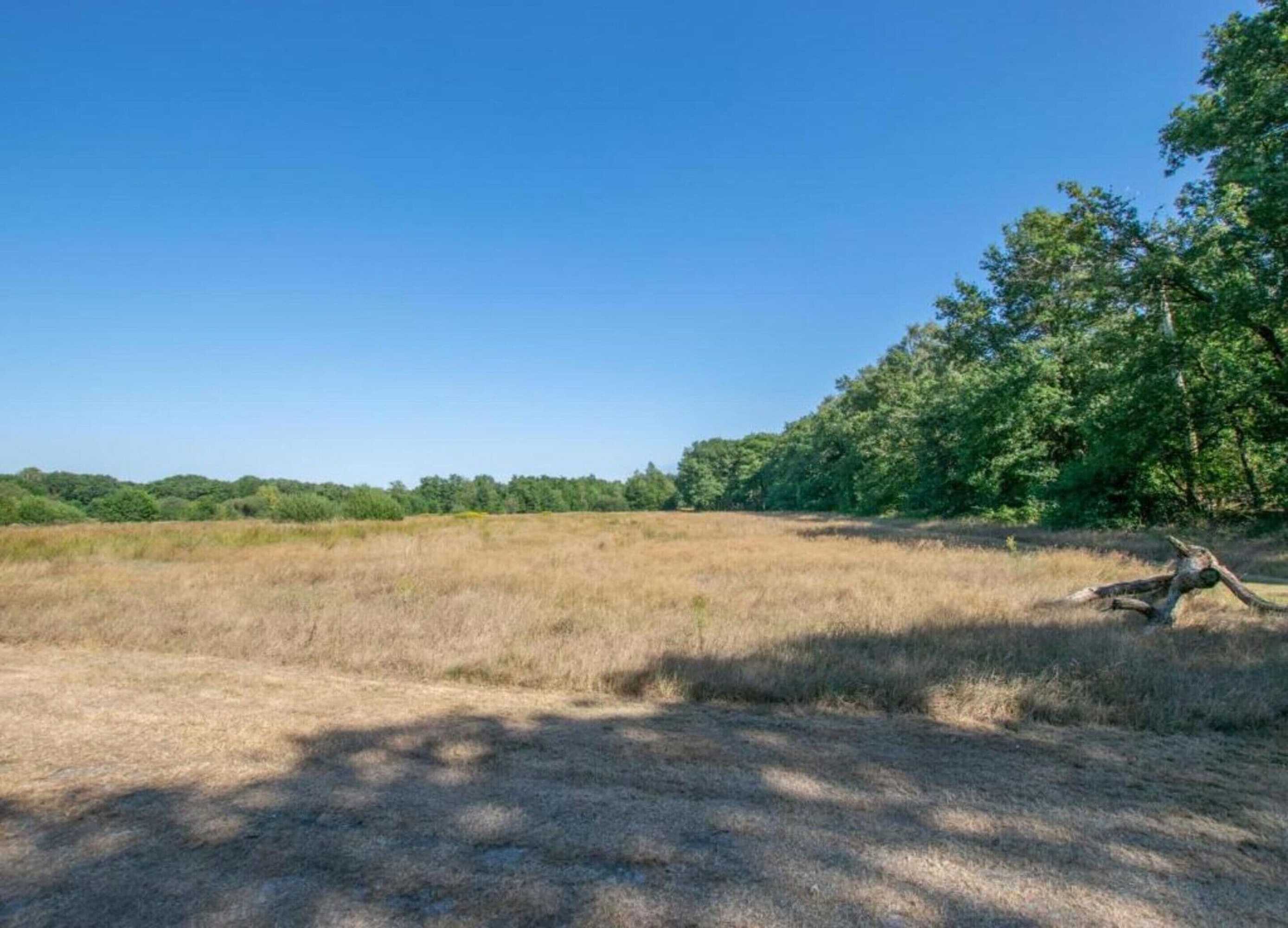 Gift card for Villa in Sandberghe With Sauna And Comfort