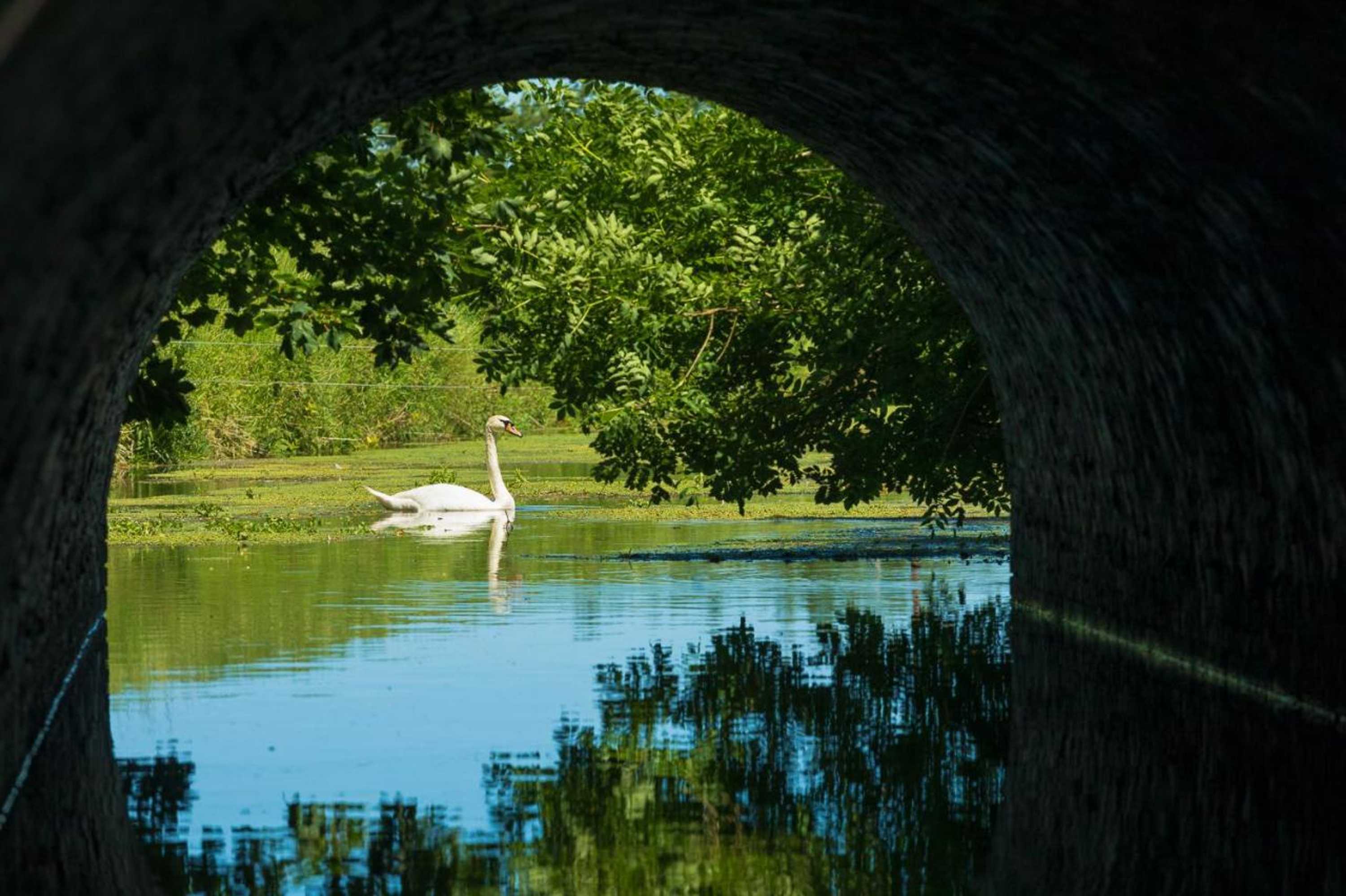 Gift card for Tonge Barn