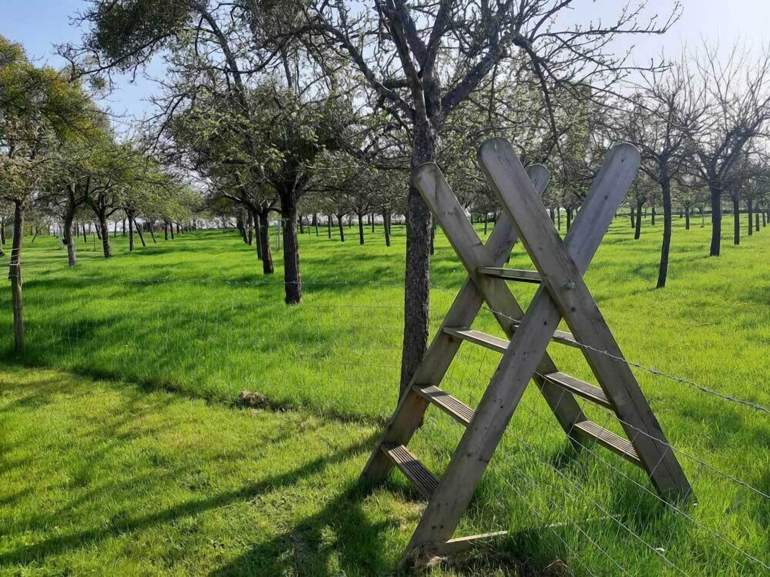 Gift card for Orchard Farm Luxury Glamping