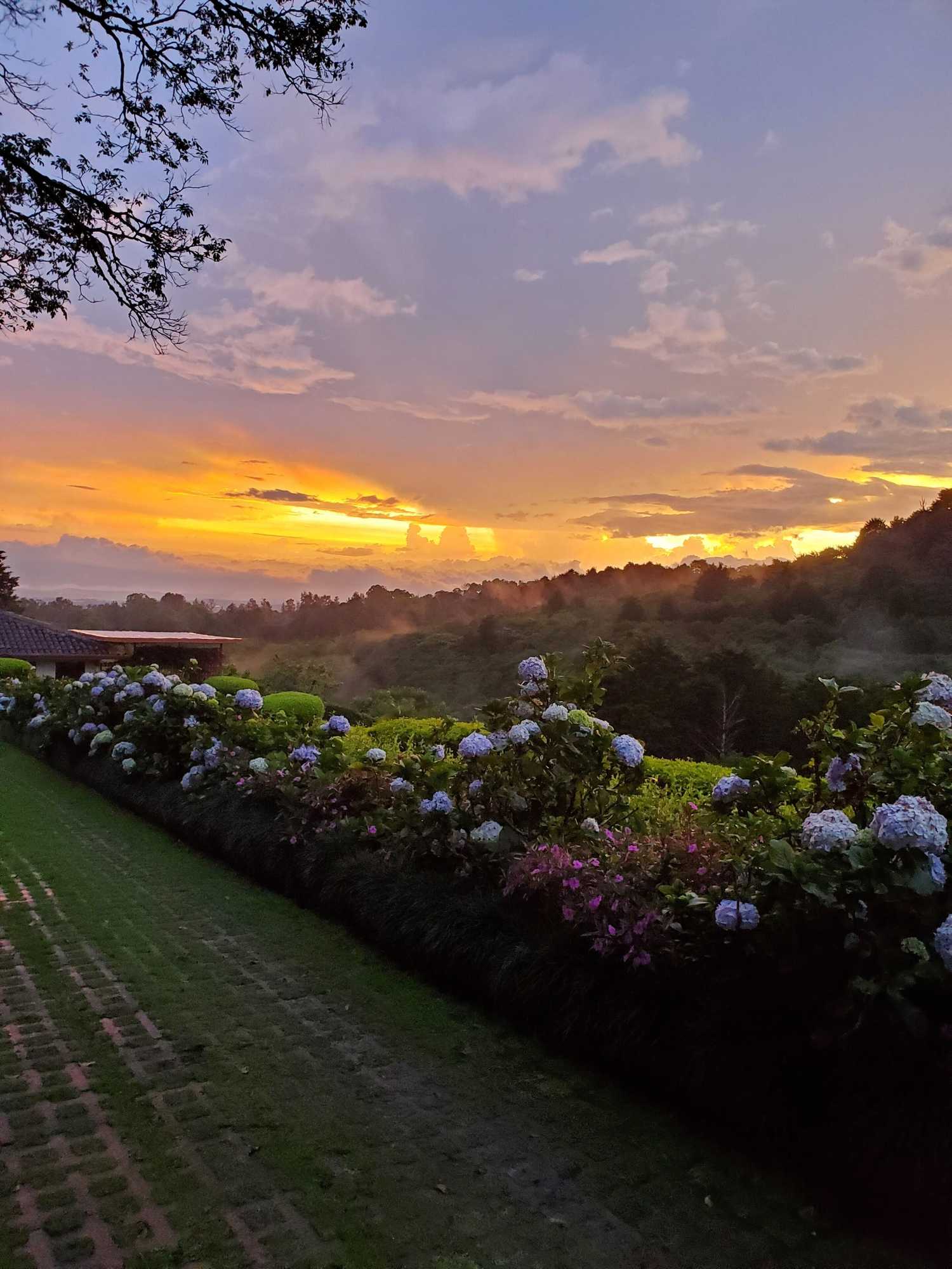 Gift card for Finca Paraiso Mountain Retreat Gift card for Finca Paraiso Mountain Retreat
