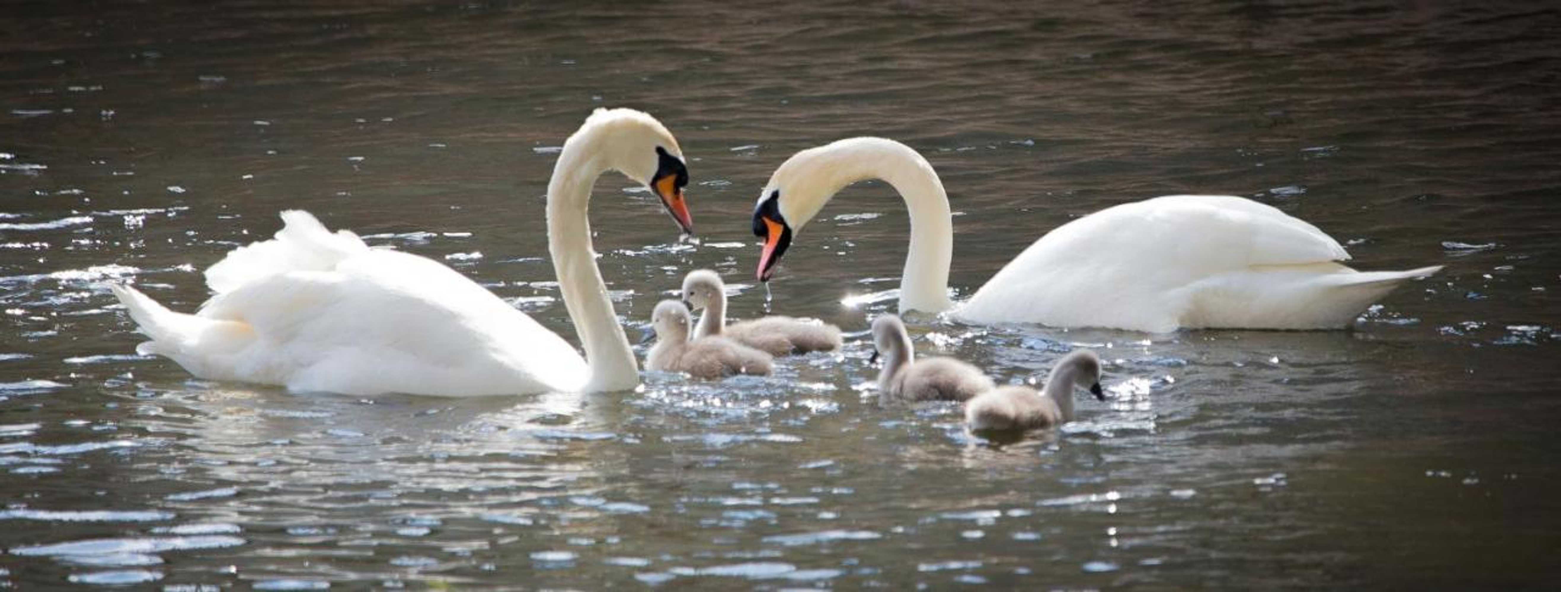 Gift card for Bridge Guest House