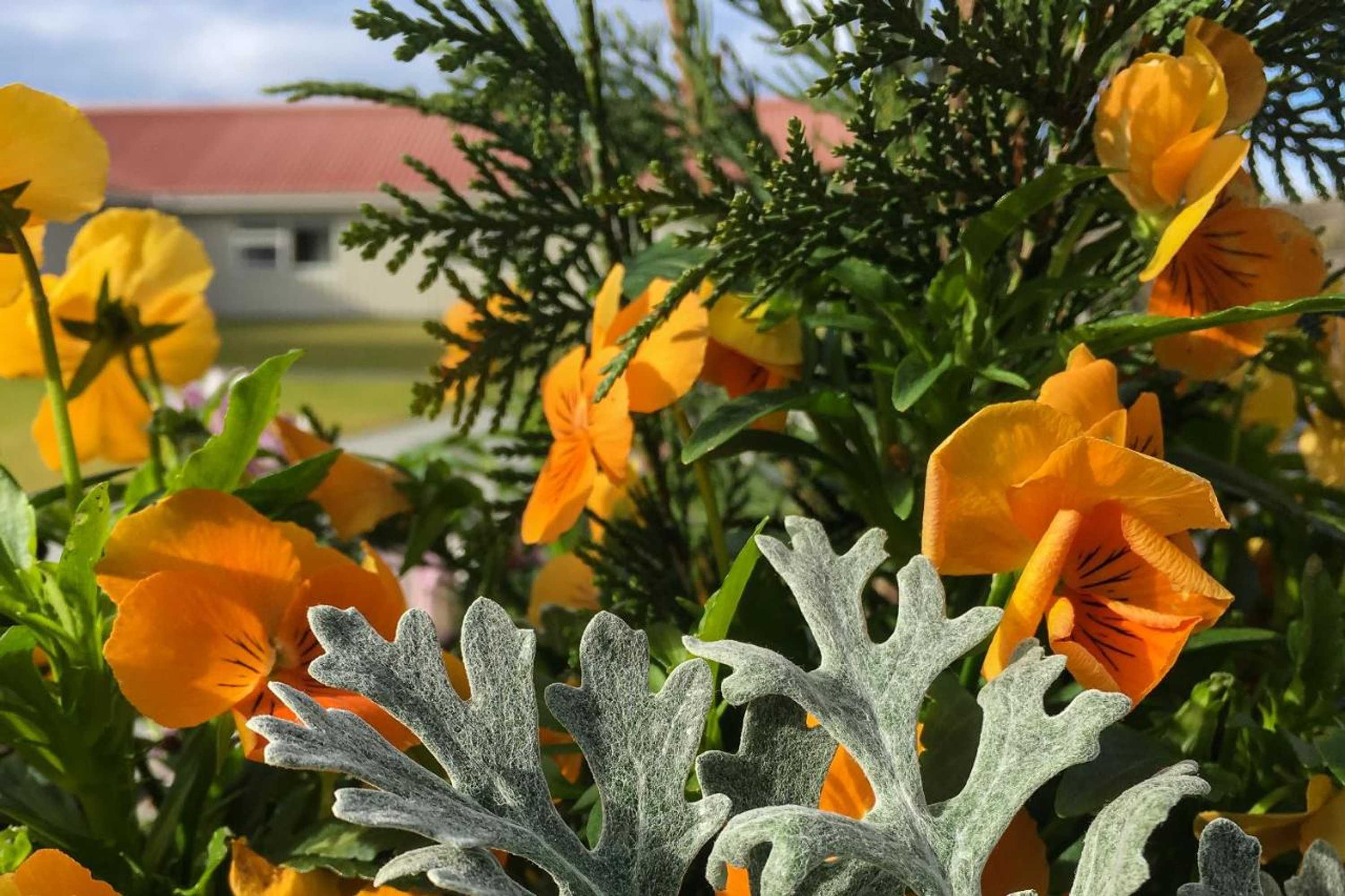 Gift card for Northern Light Inn Gift card for Northern Light Inn